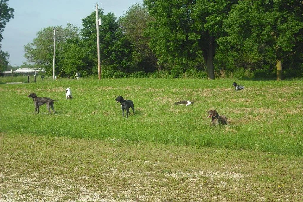DSCF0018.jpg