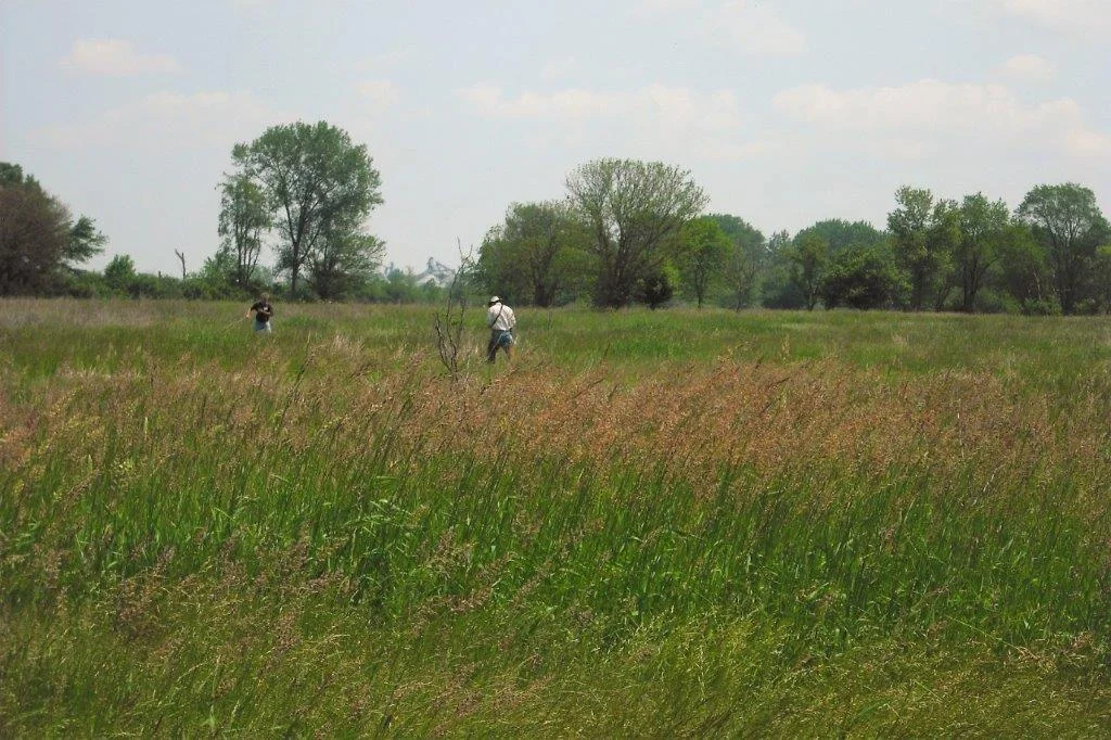 DSCF0063.jpg