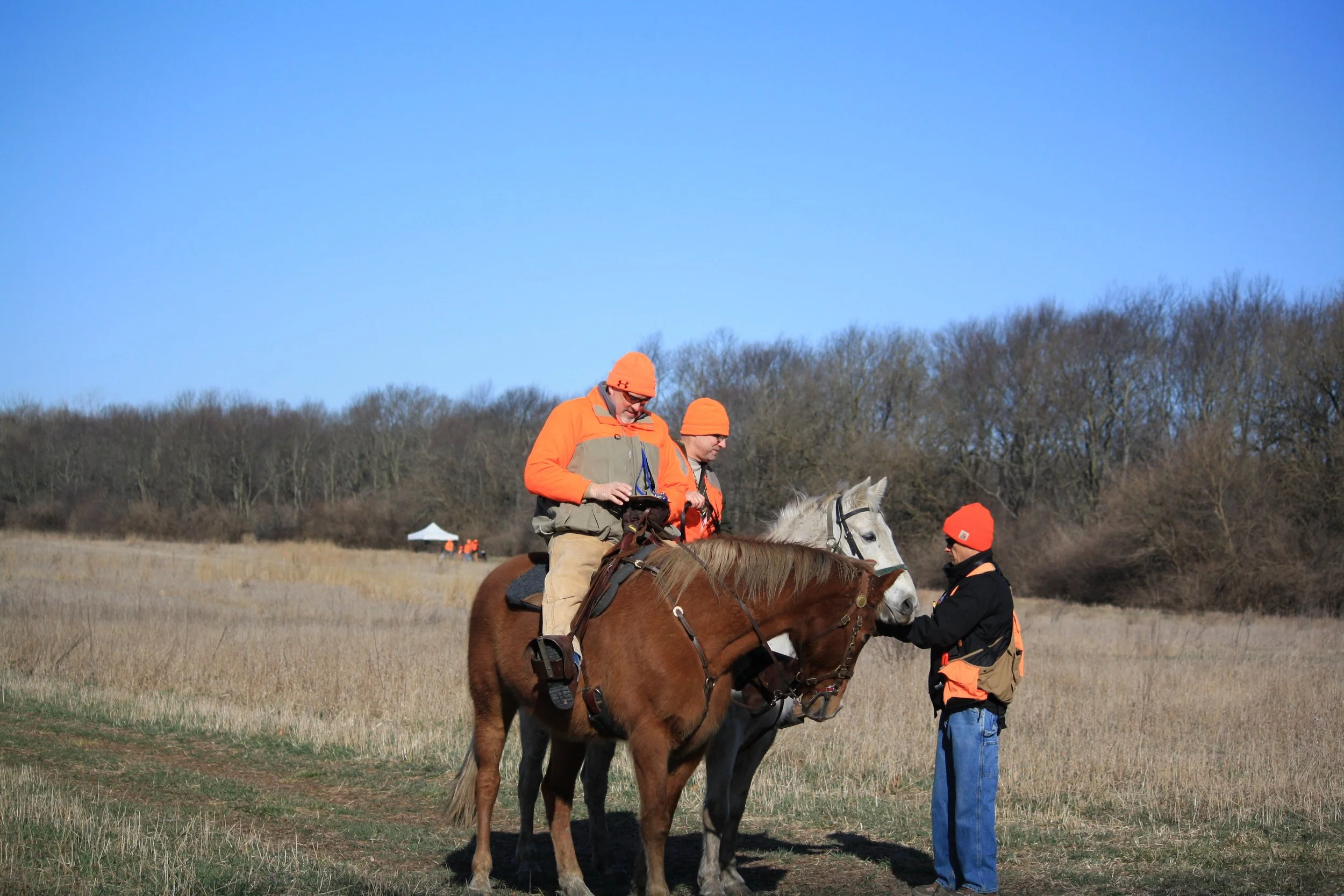 GSPCI - Spring Hunting Test (Saturday - Apr 2)