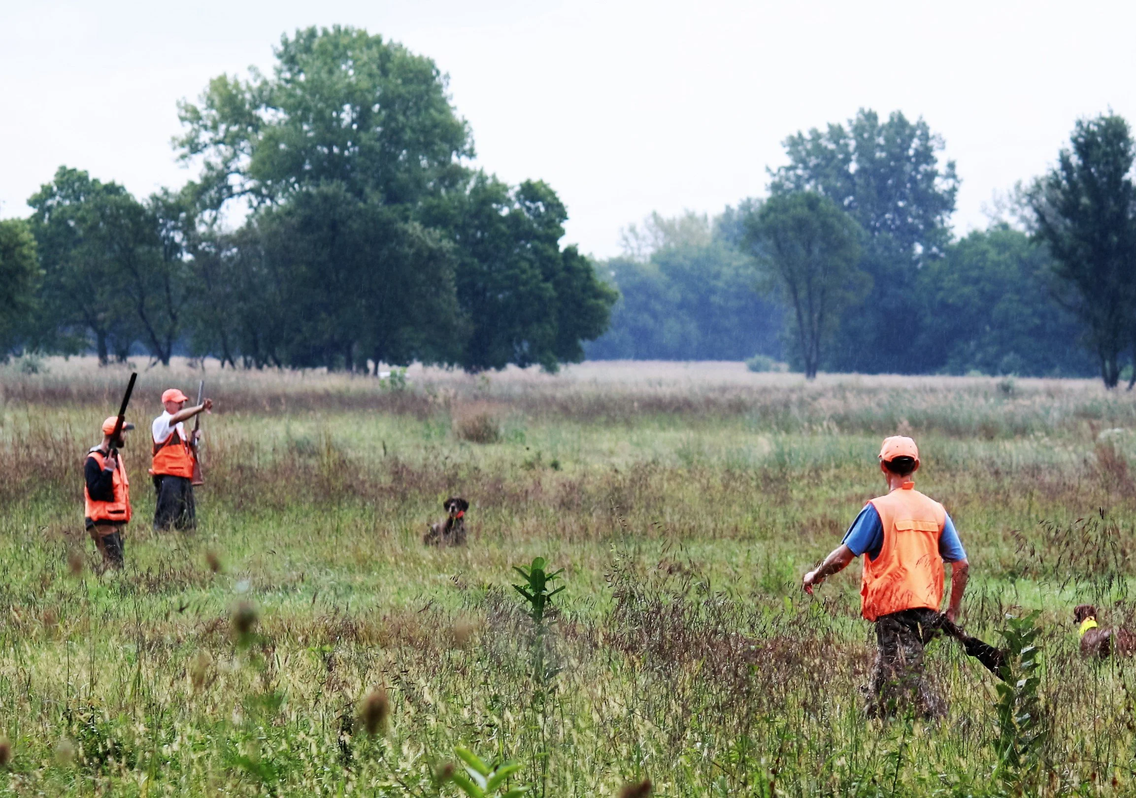 2022 GSPCI Top Dog - Mar. 5