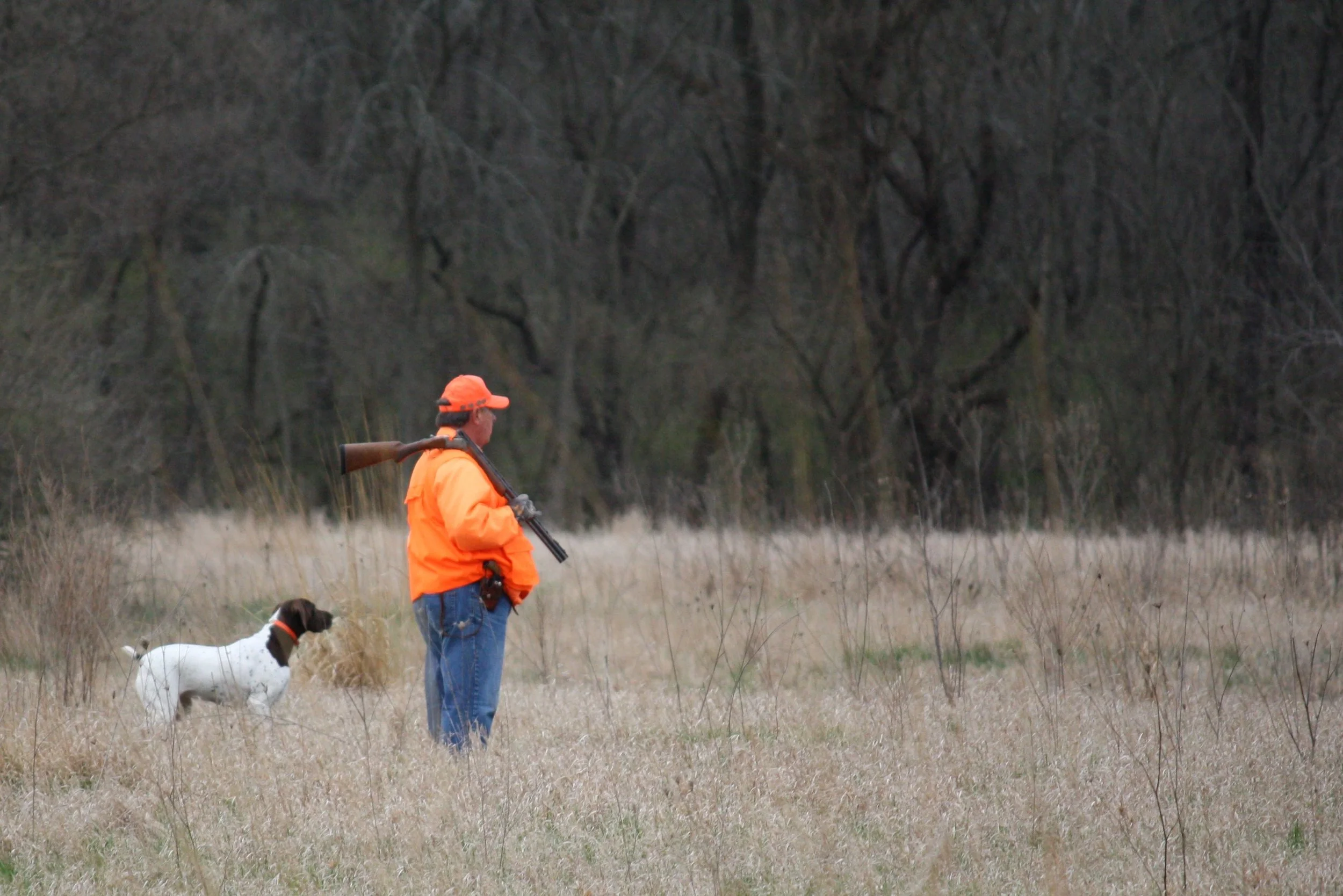 GSPCI  - Fall Hunting Test - Sep. 10 &amp; Sep. 11