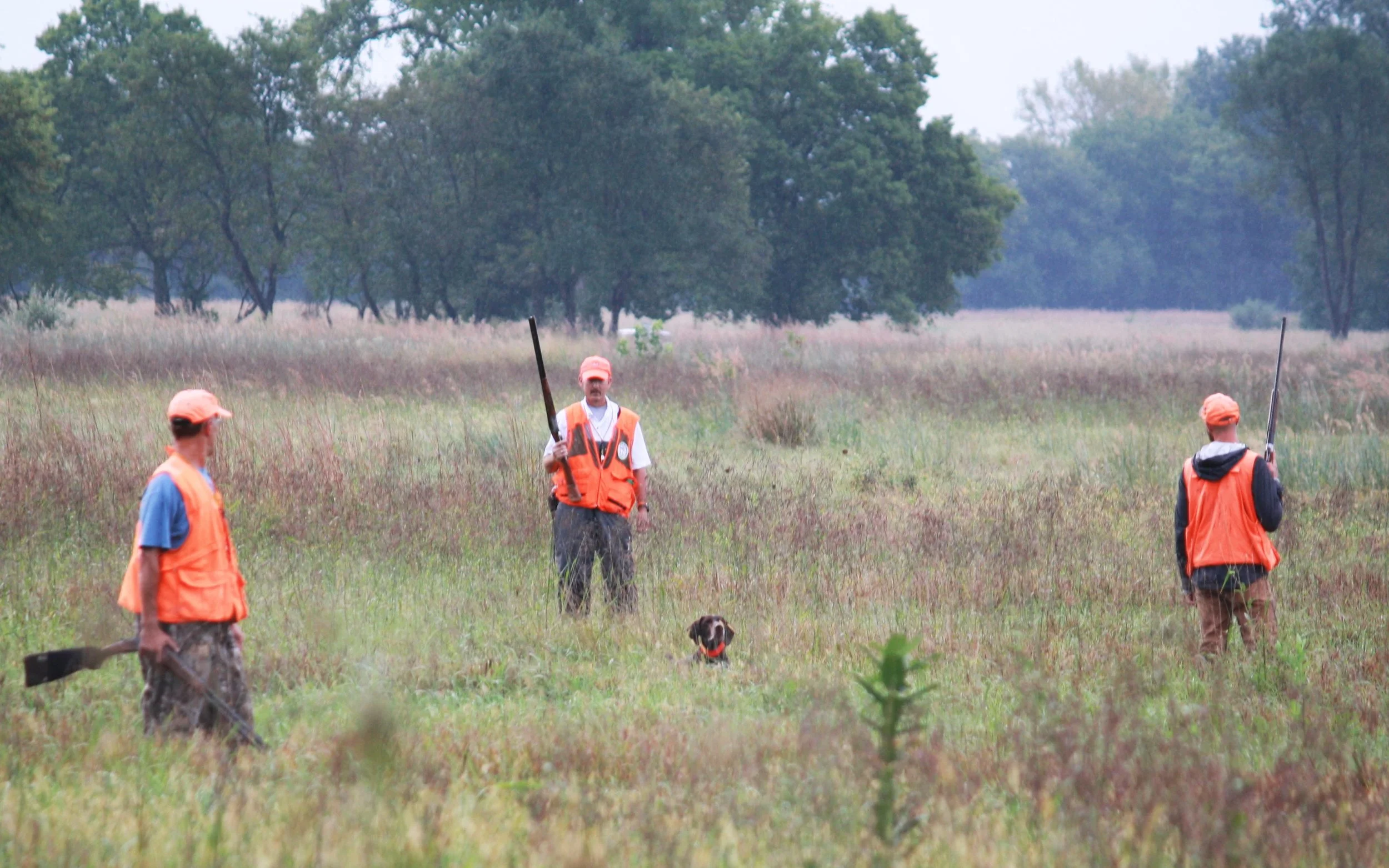 2025 Top Dog Event (March 8)