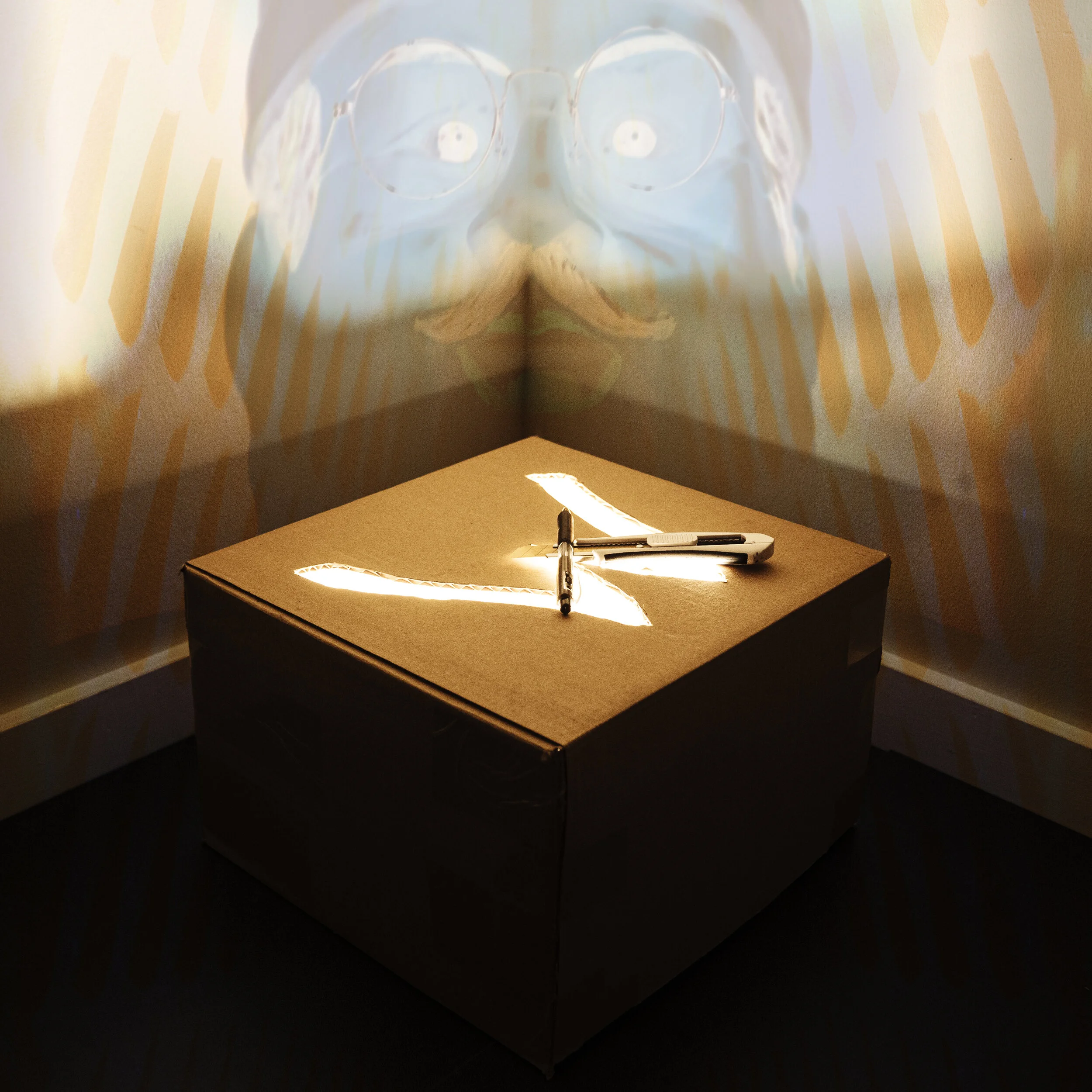dp BOX 2b.jpg