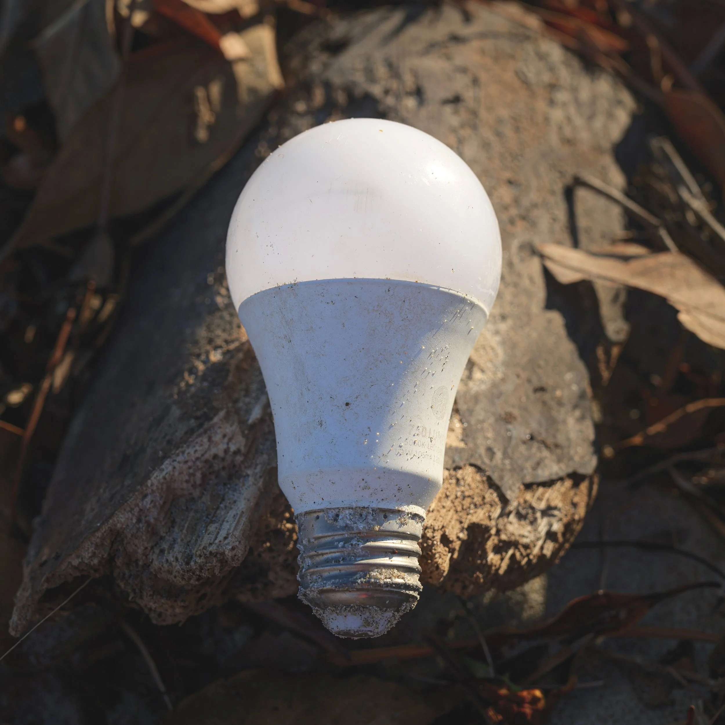 Bright+Idea.jpg