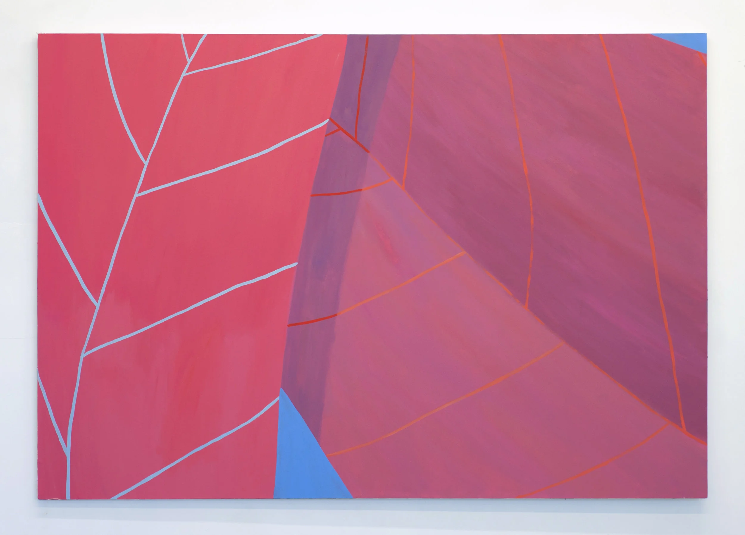 Leaves #8 2015 acrylic on canvas 50 x 72 inches, photo by Tyler Kufs