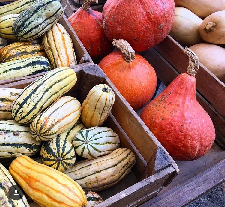 pumpkin2.jpg