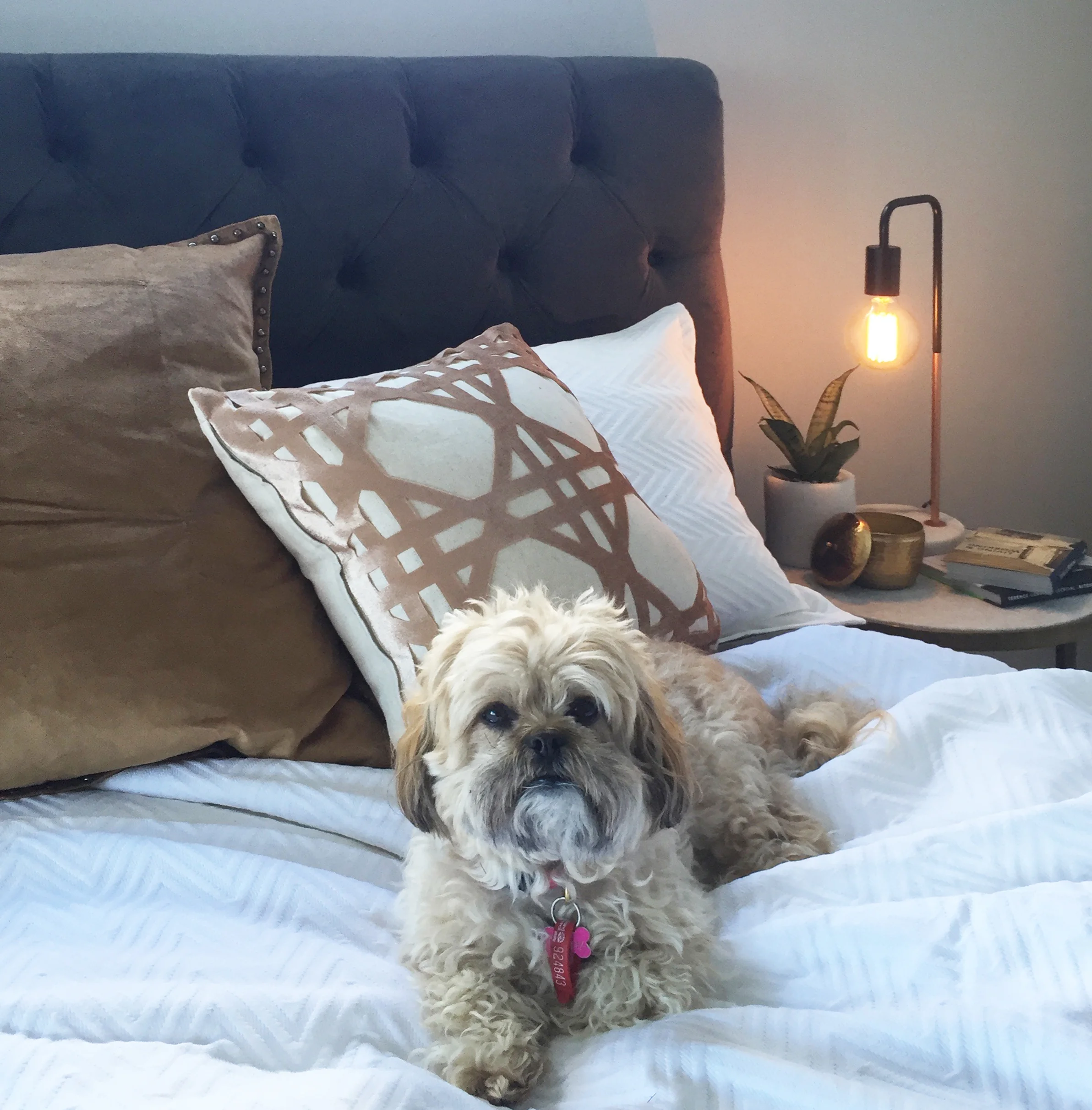bed makeover.jpg