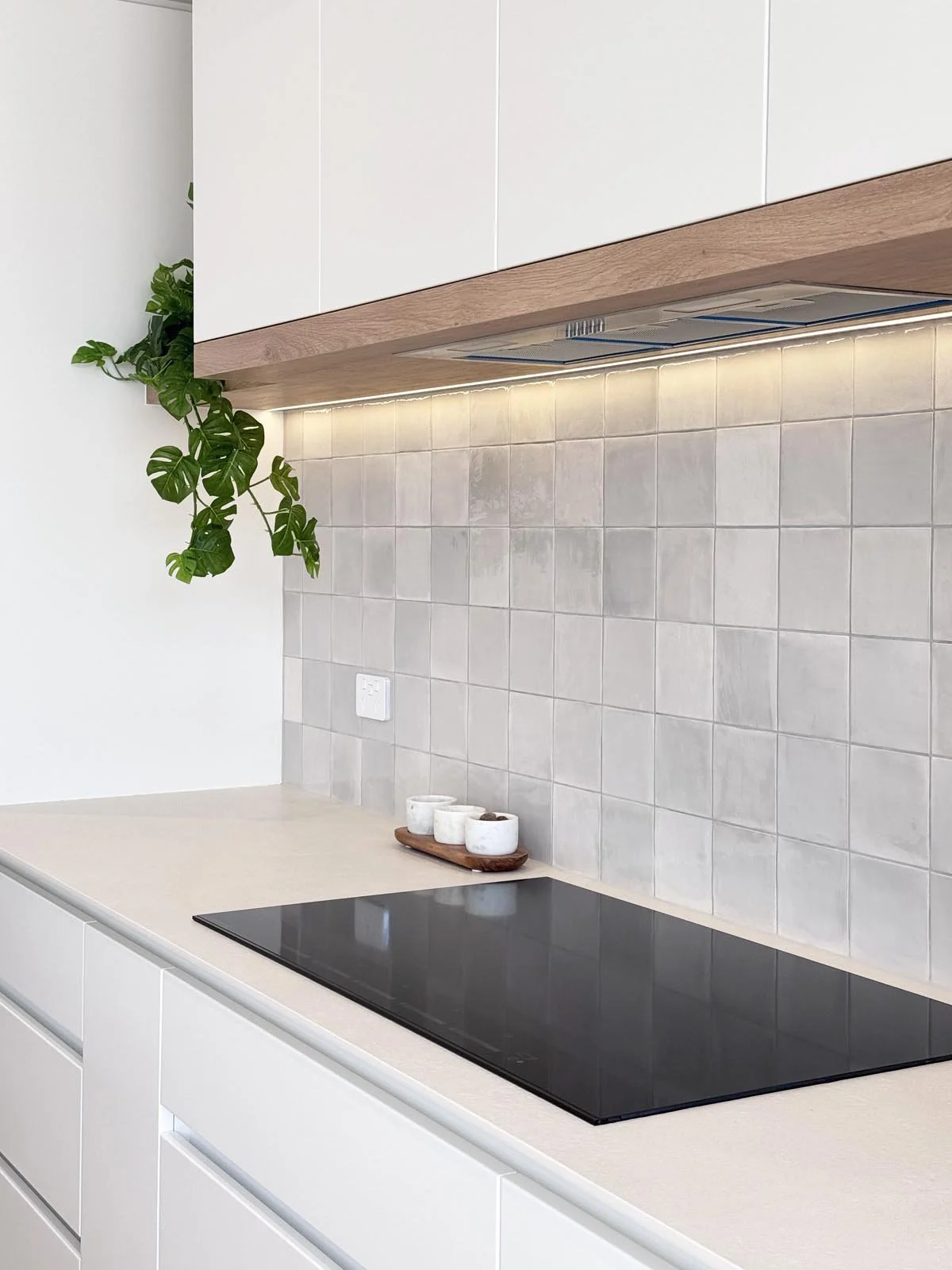 Ngapawa kitchen 6.jpg