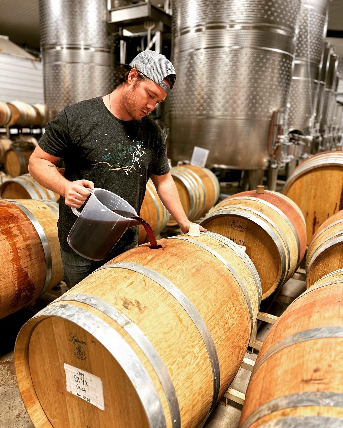 It&rsquo;s not the most glamorous task, but topping barrels is easily one of the most important things we do in the winery. We top our barrels once a month to ensure these wines age without over oxidation. 

This week One Minute Winemaking will go in