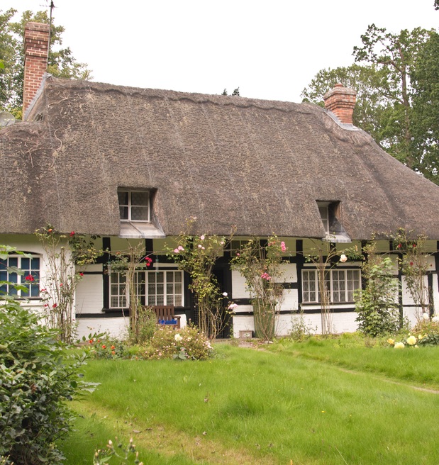 thatch cottage.jpg
