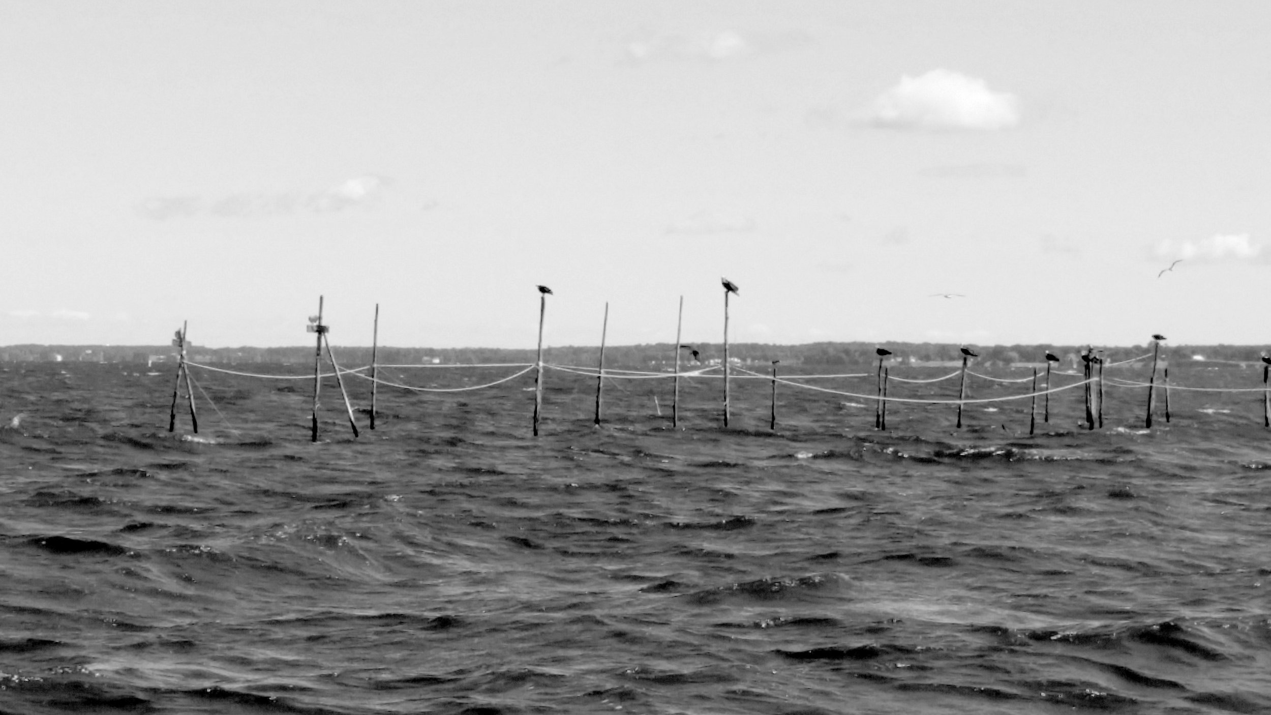 Roosevelt Inlet Tide Chart