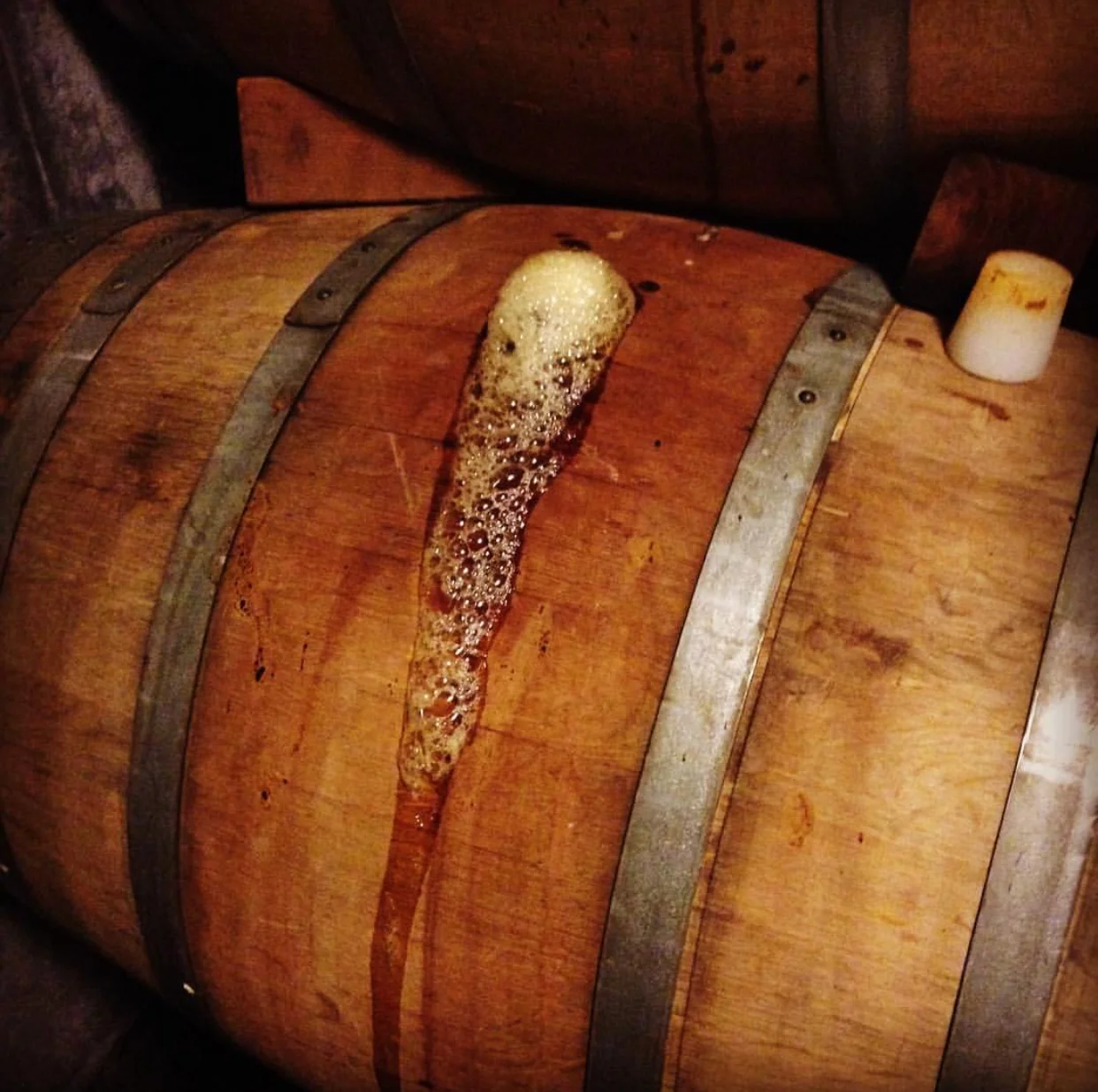 BarrelFermentation.jpg