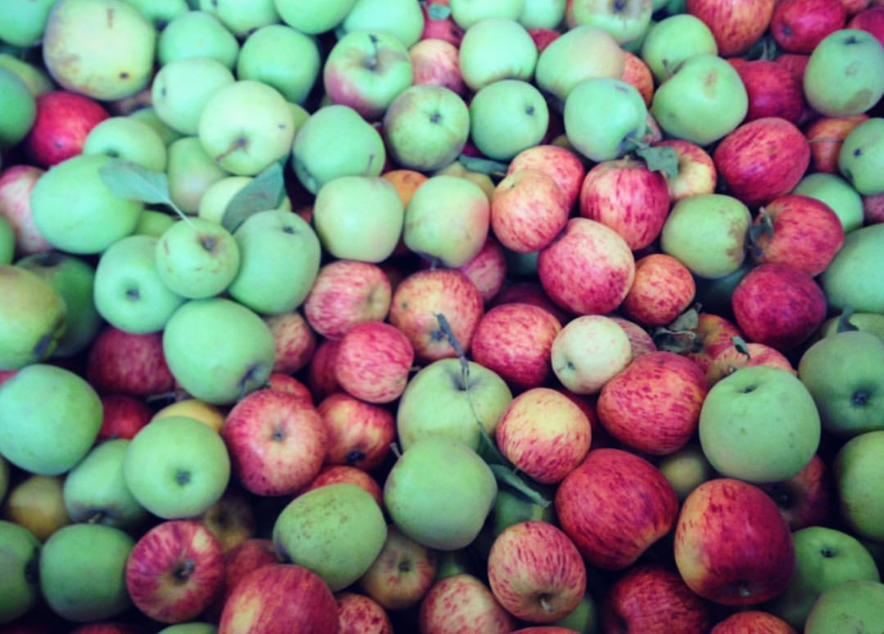 AppleBlend.jpg