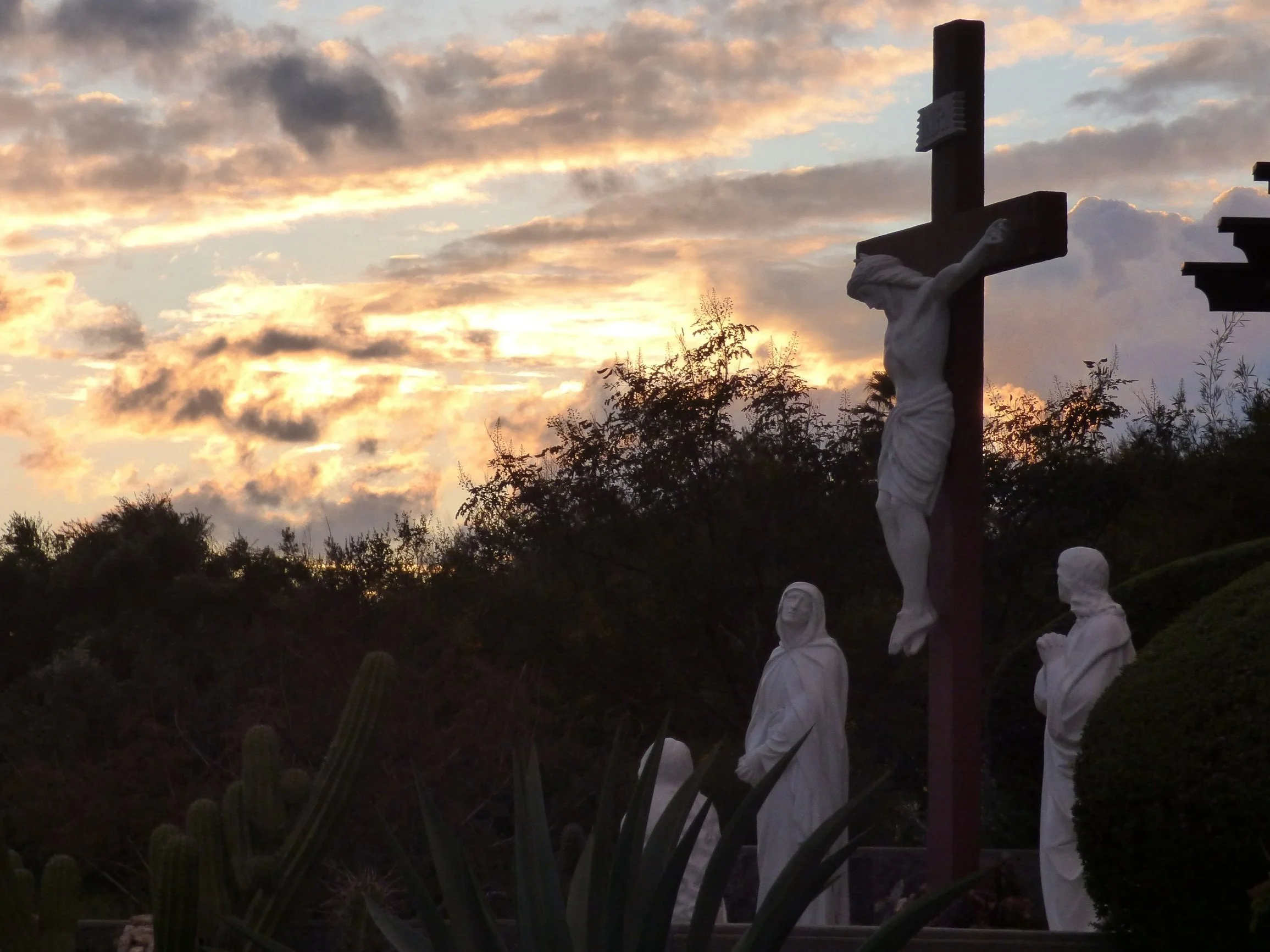 Living With The Cross