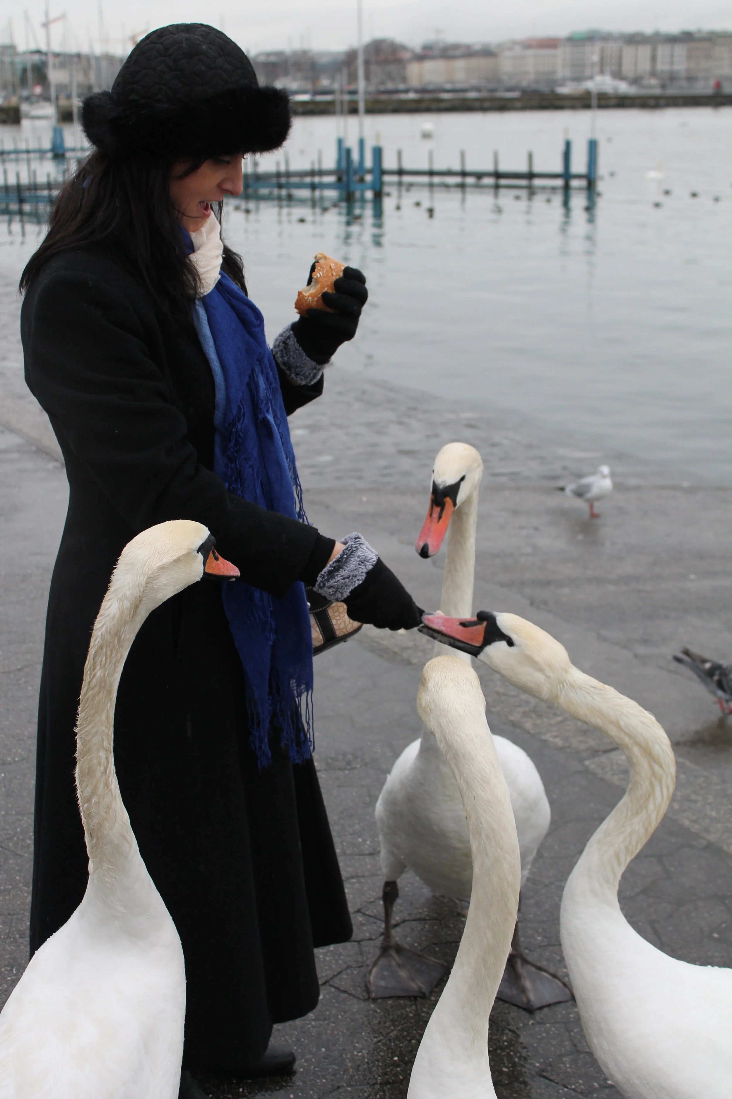 IMG_6285.JPG