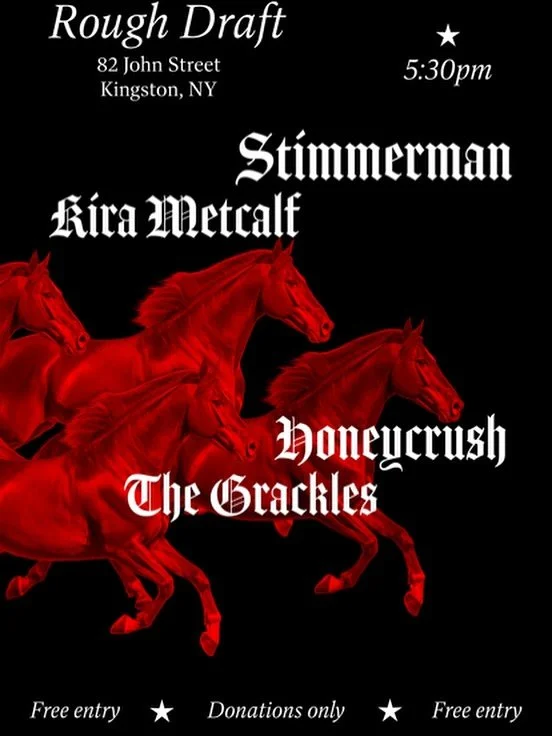 Friday night!!

Live music with @the.grackles, @kirametcalf, @honeycrushing, and @stimmermandotgov 🎶 

5:30-7:30pm

FREE as always, but we encourage $10 donations or more for the artists.

#friday #tgif #livemusic #ReadSipRepeat #kingstonny
