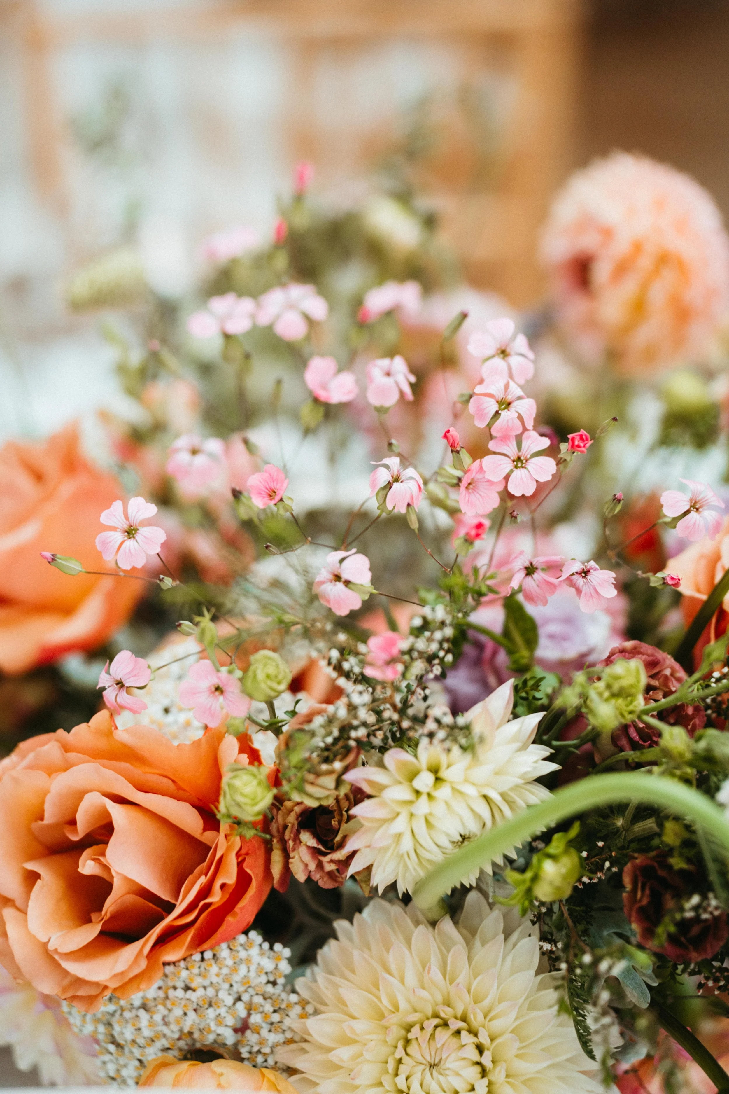 Kailey nopal blooms.jpeg