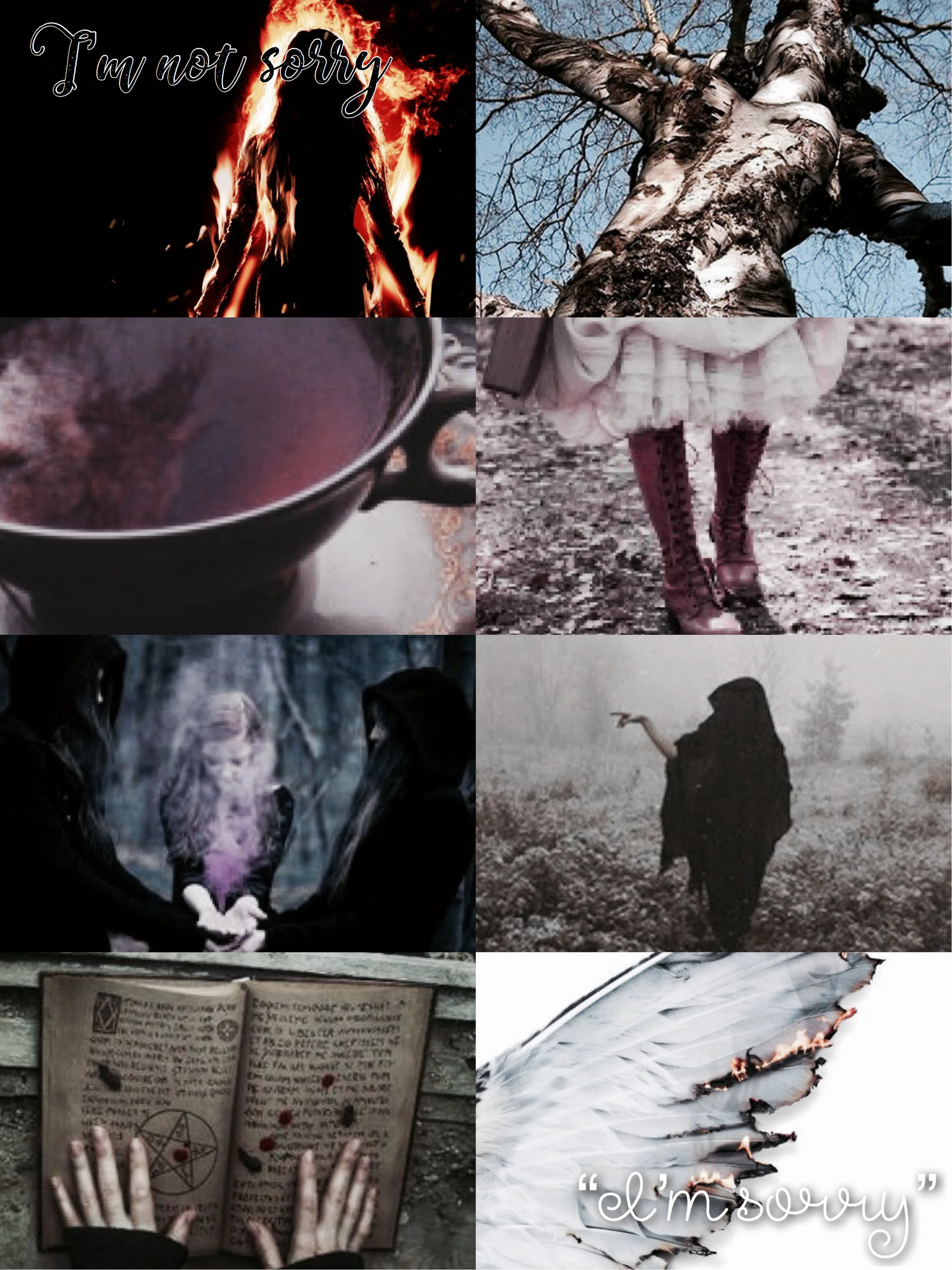 The Witch Doesn't Burn In This One - By Amanda Lovelace - Book 1 - 2018