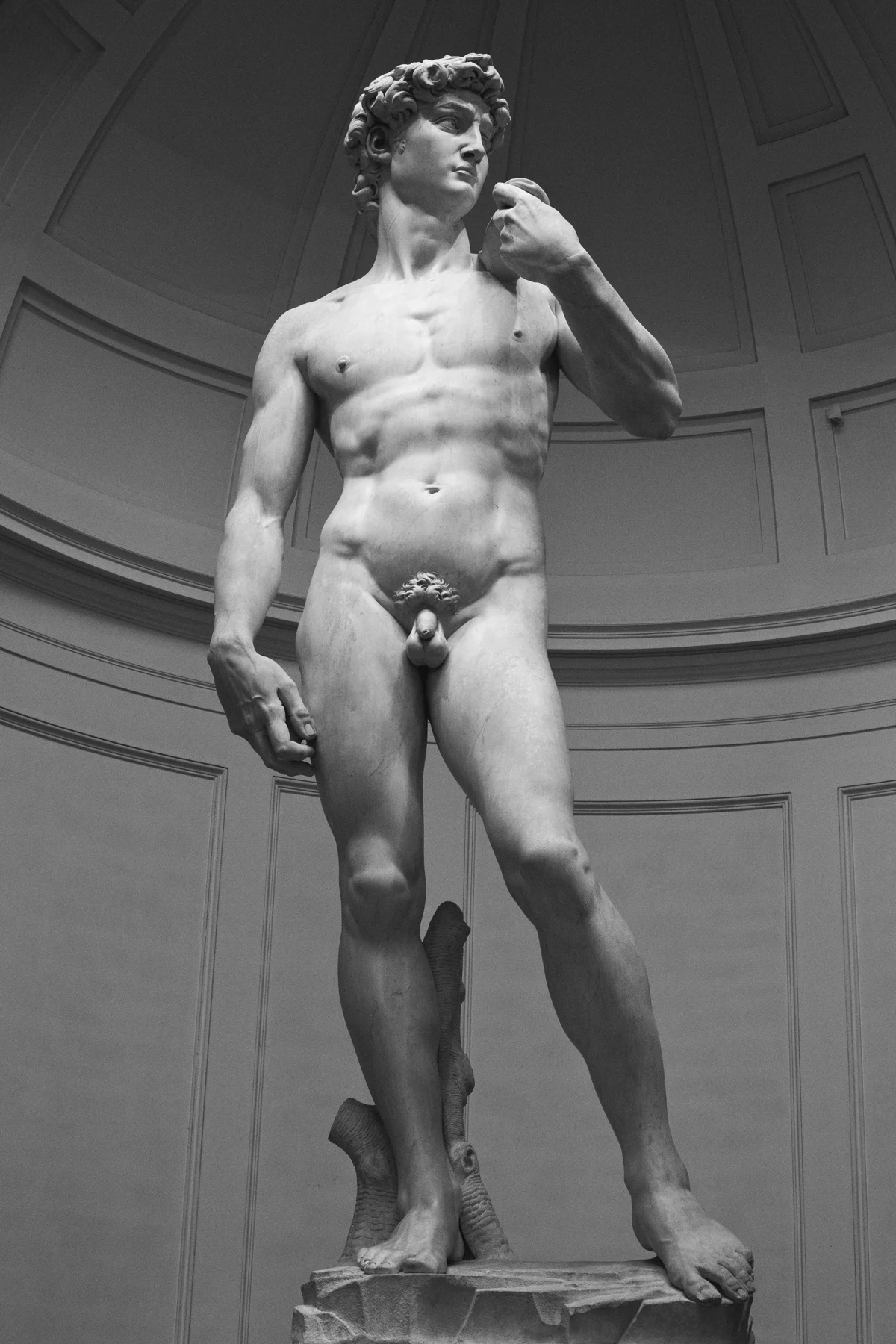 Michelangelo's David