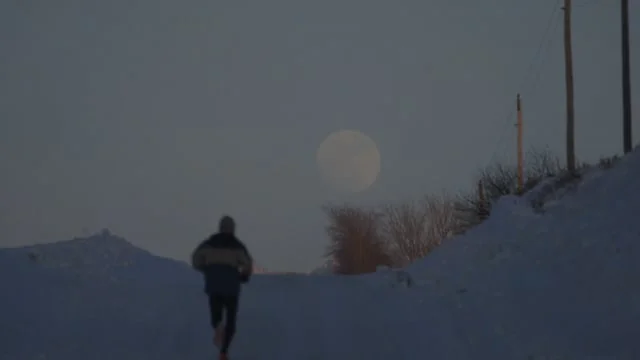 PETER TAYLOR PAINTINGS