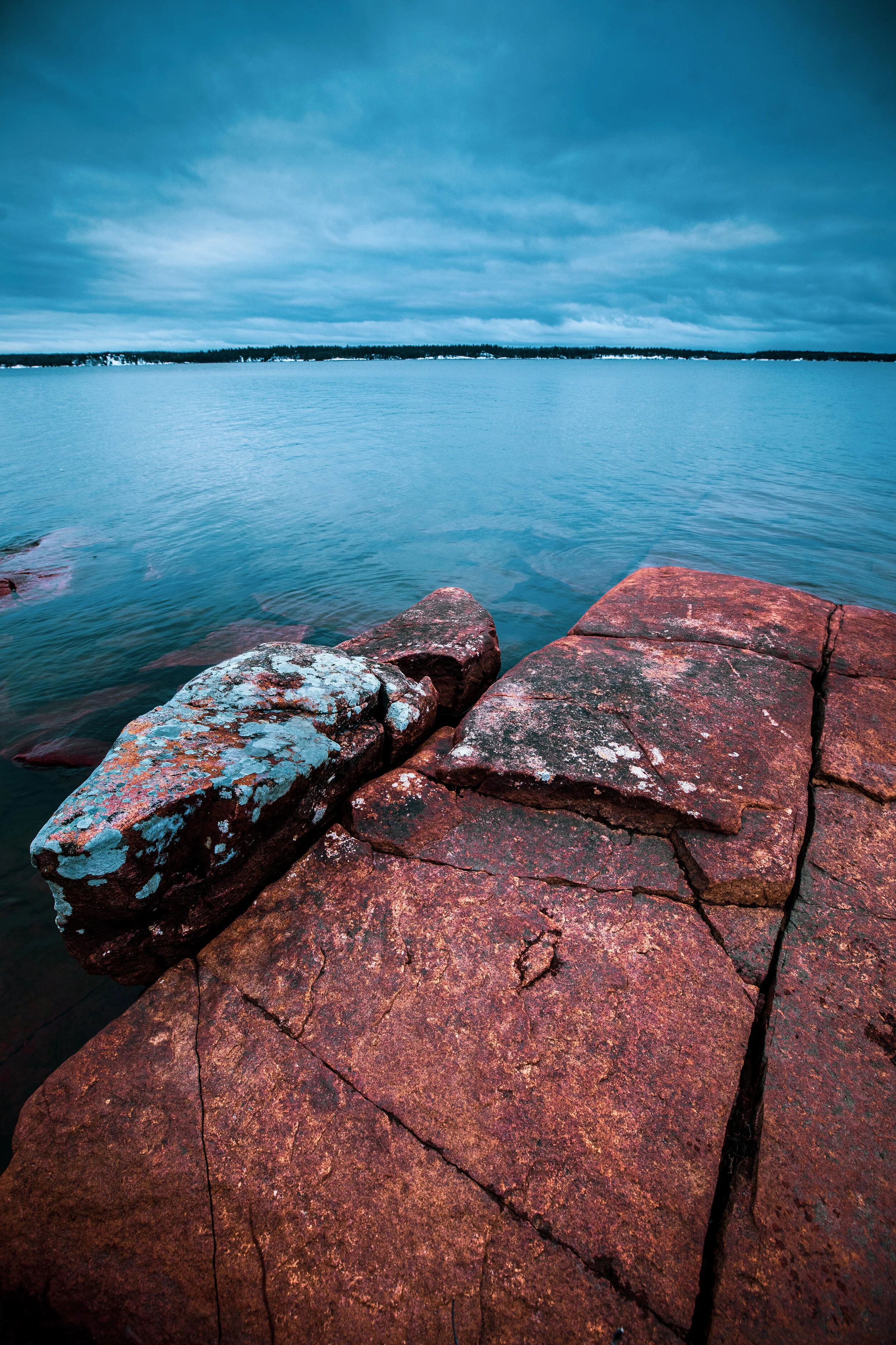 untitled_cvidxmas_killbear shore-5896.jpeg