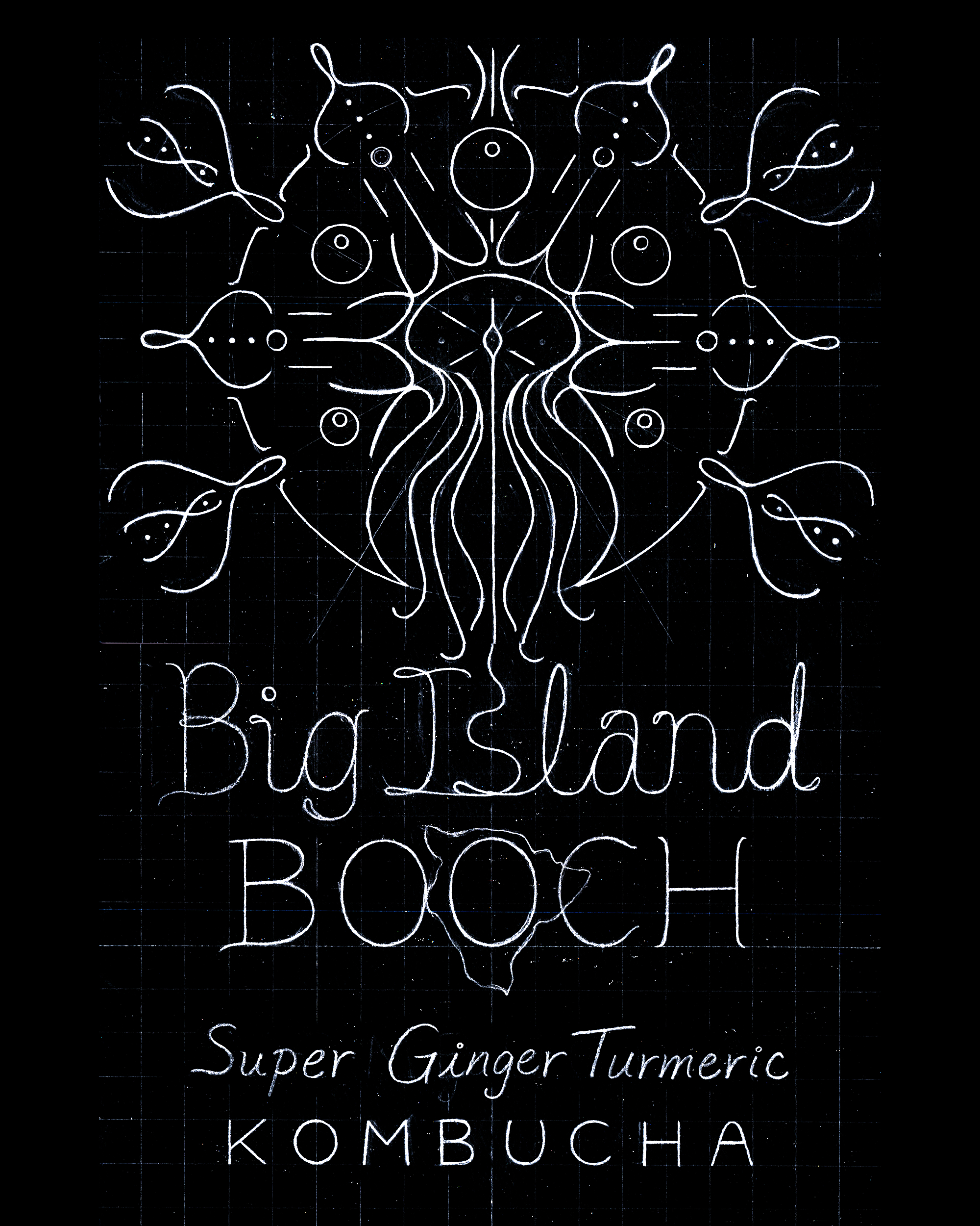 Initial Design Sketch for Big Island Booch Logo in 2016