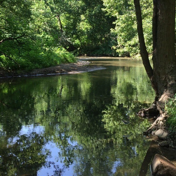 &ldquo;The world is full of painful stories. Sometimes it seems as though there aren't any other kind, and yet I found myself thinking how beautiful that glint of water was through the trees.&rdquo; - Octavia Butler

#nofilter needed for this quiet v