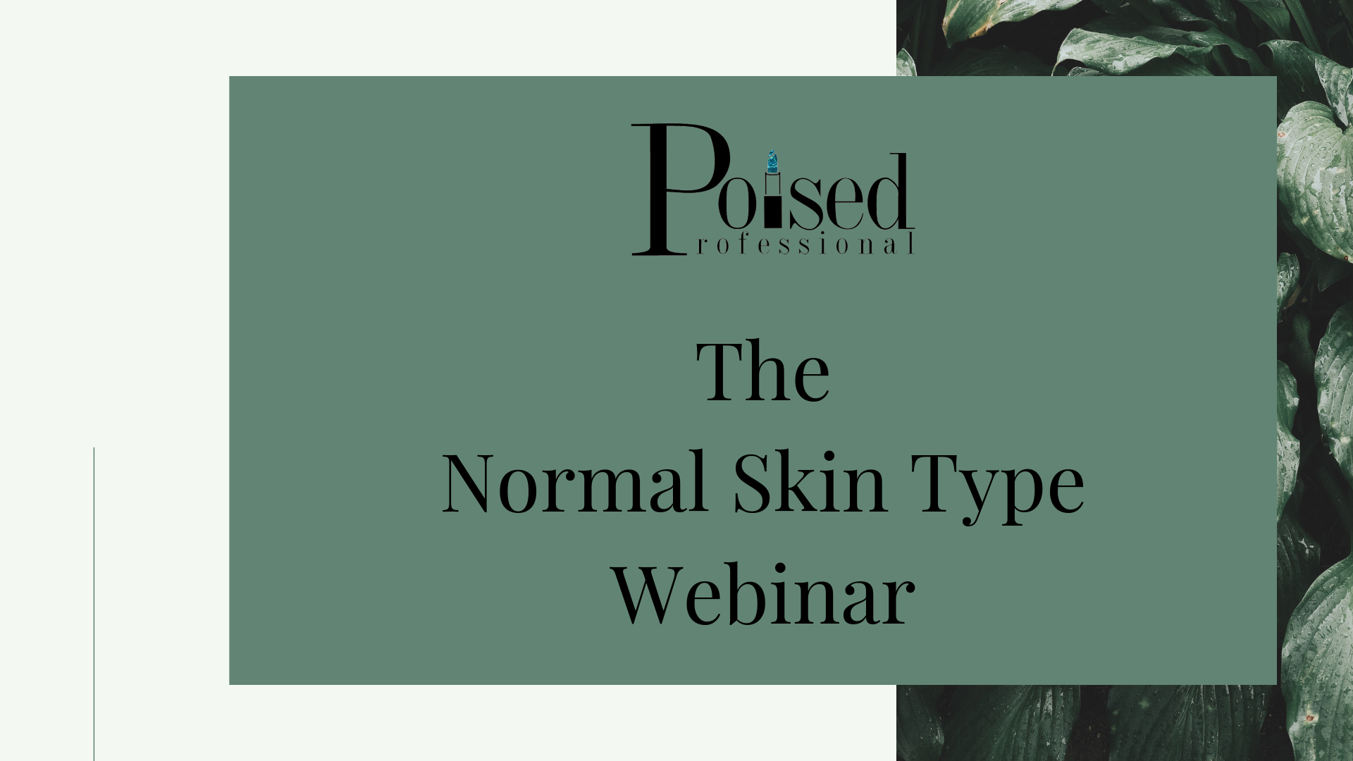 Skin Type Collection- Normal Skin Type 