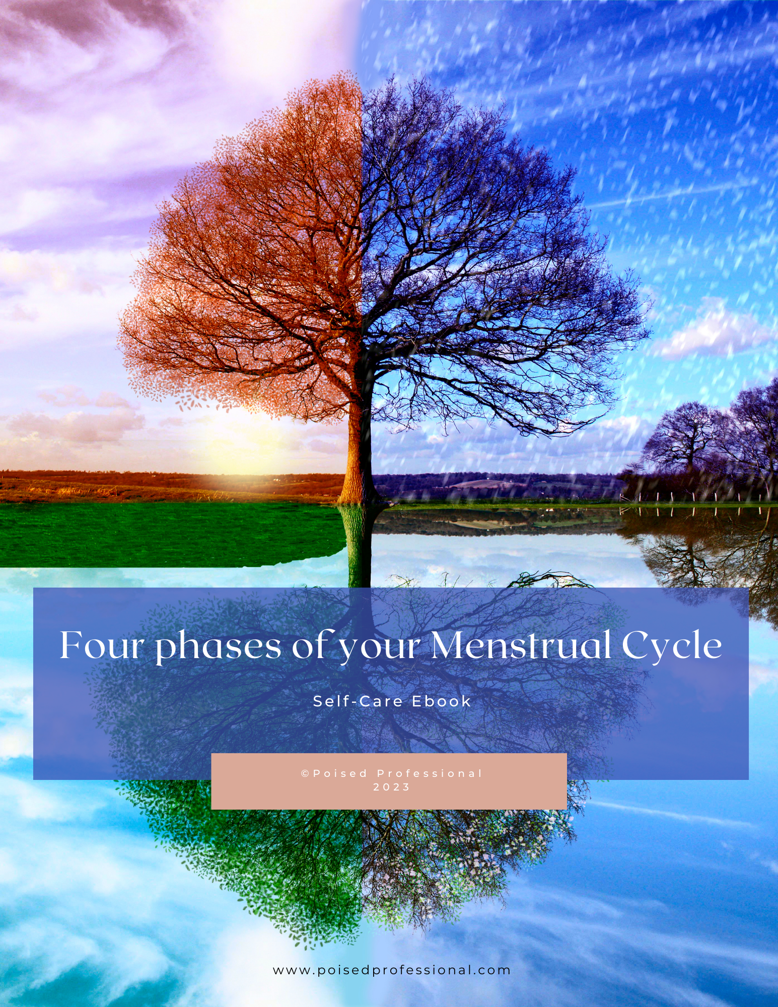 Four Phases of your Menstrual Cycle