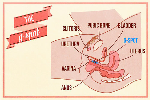 gspot.VulgarMagazine.jpeg