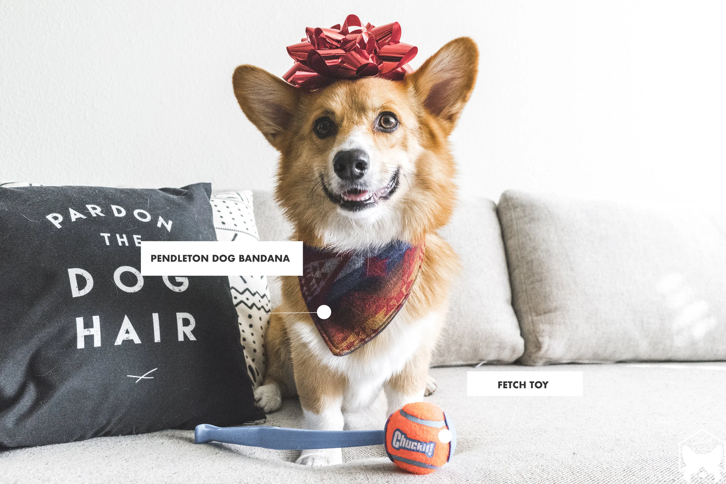 DOGBANDANA.jpg