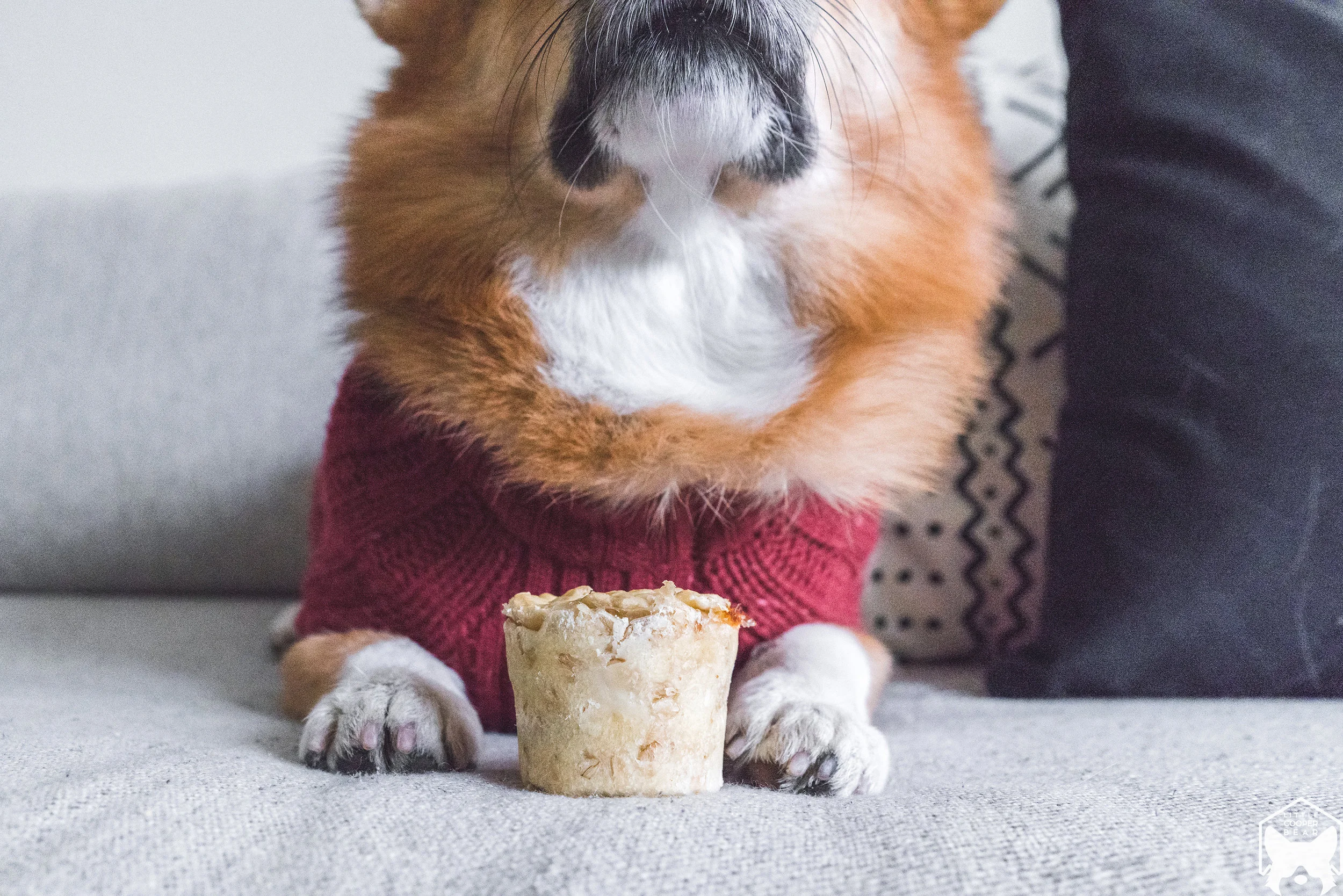 Chicken Pot Pie for Dogs