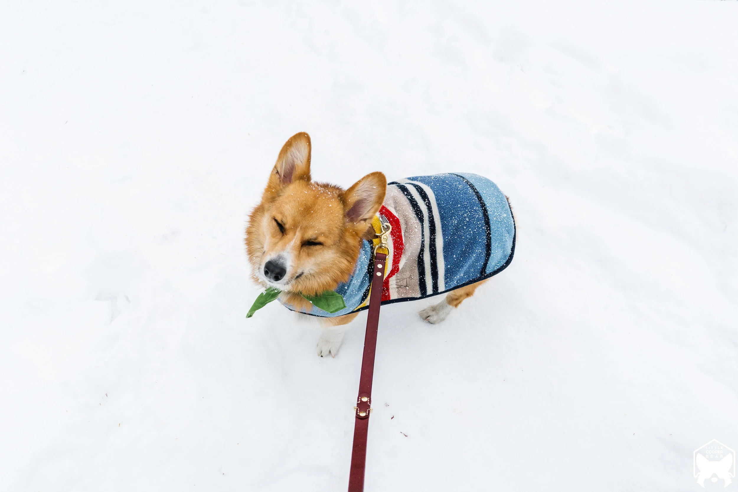 20180218-DSC04442.jpg