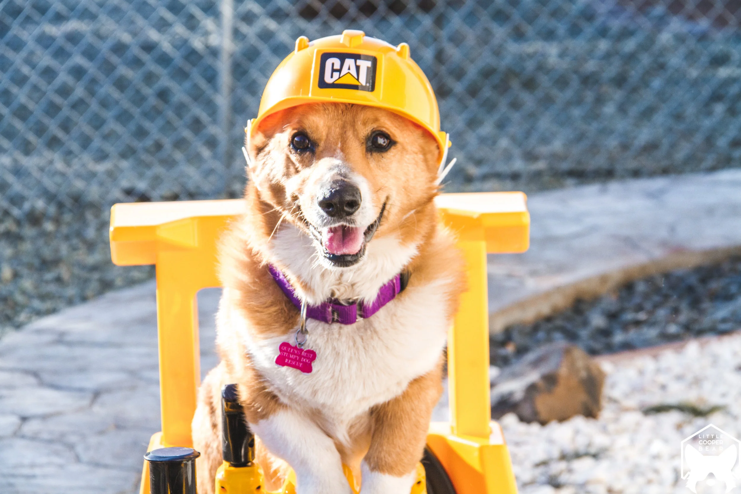 The cutest little construction worker.