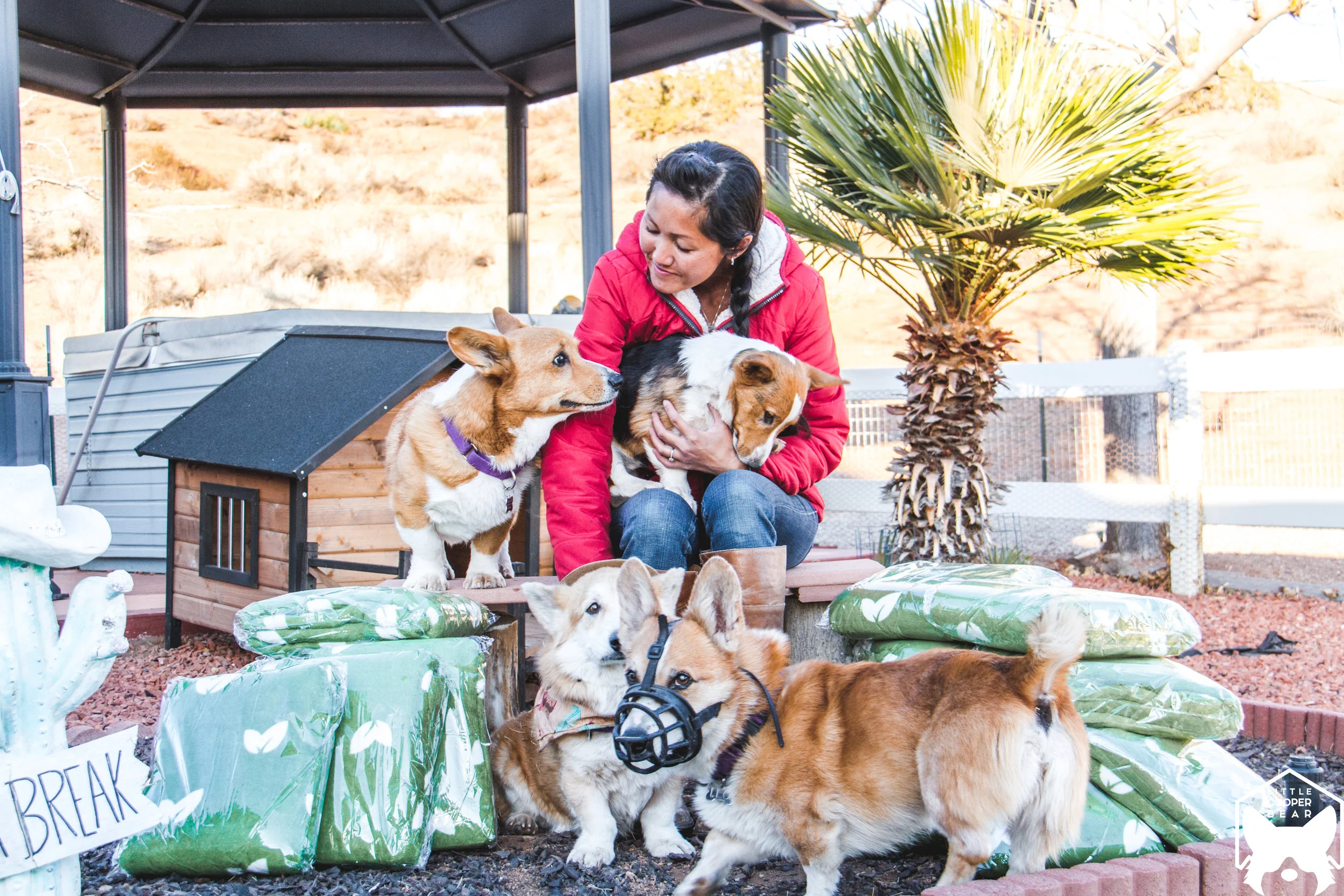 Susan enjoying some down time with her sweet rescued furkids.