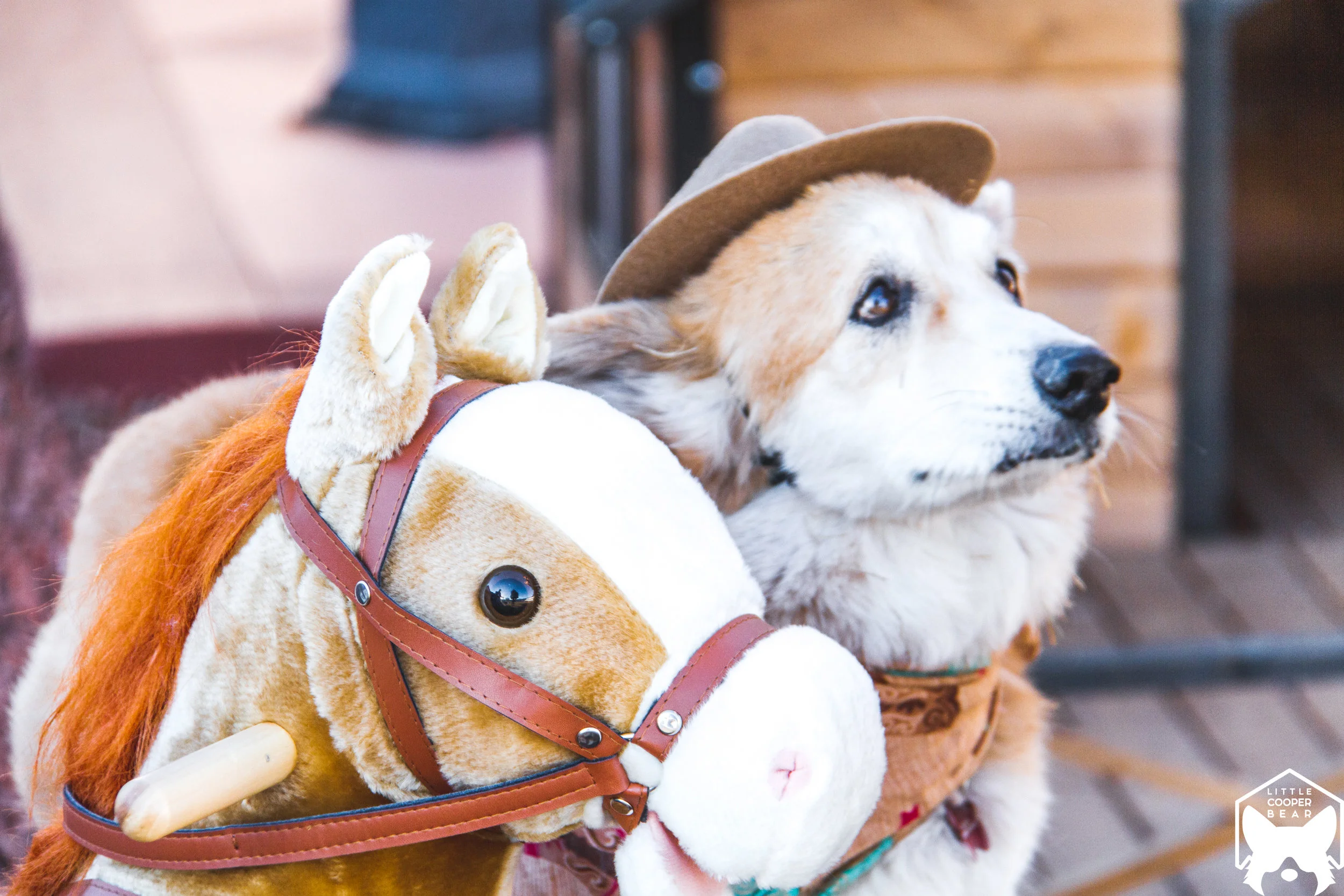 Cowboy and his trusty steed.