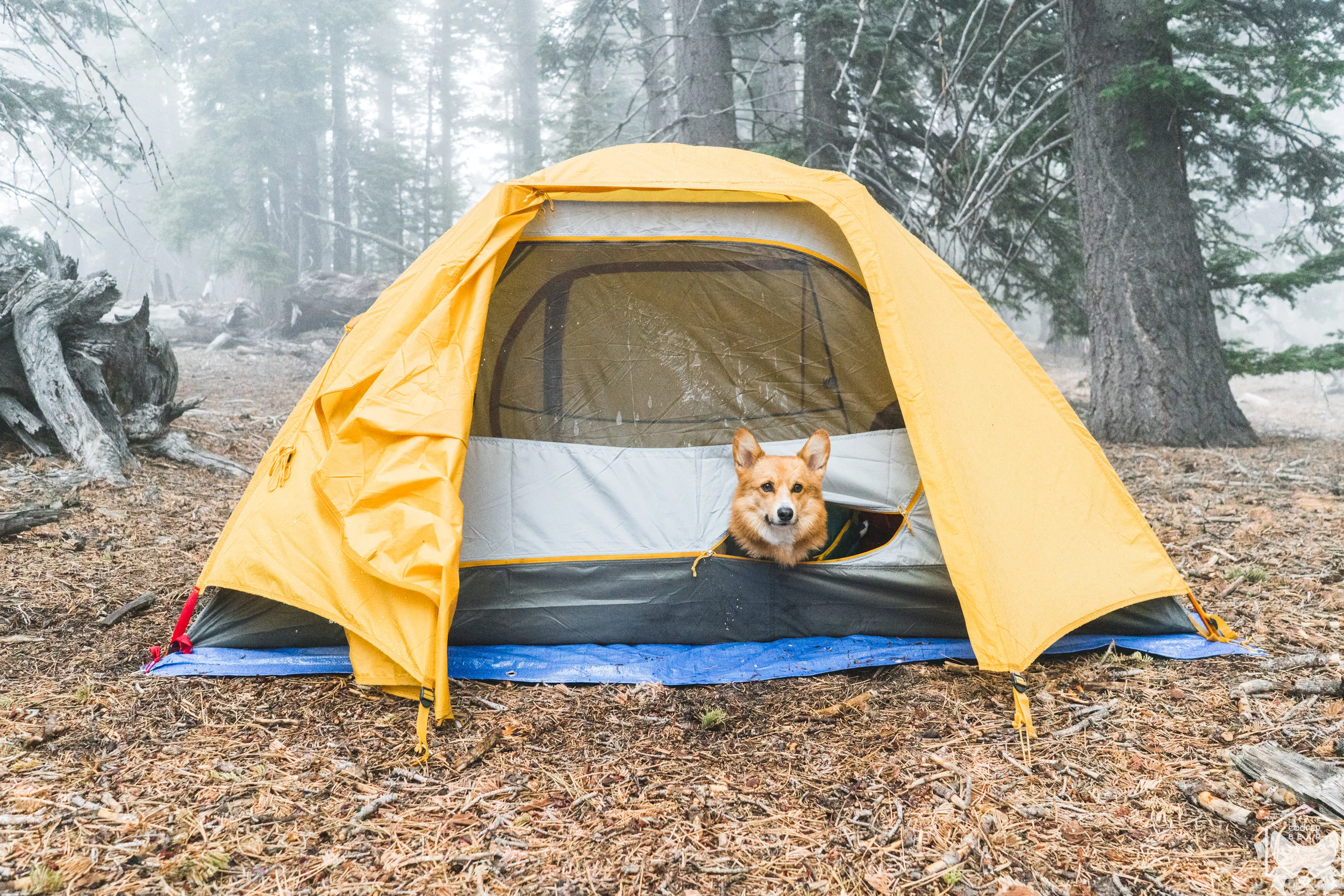 Tent was all set up!