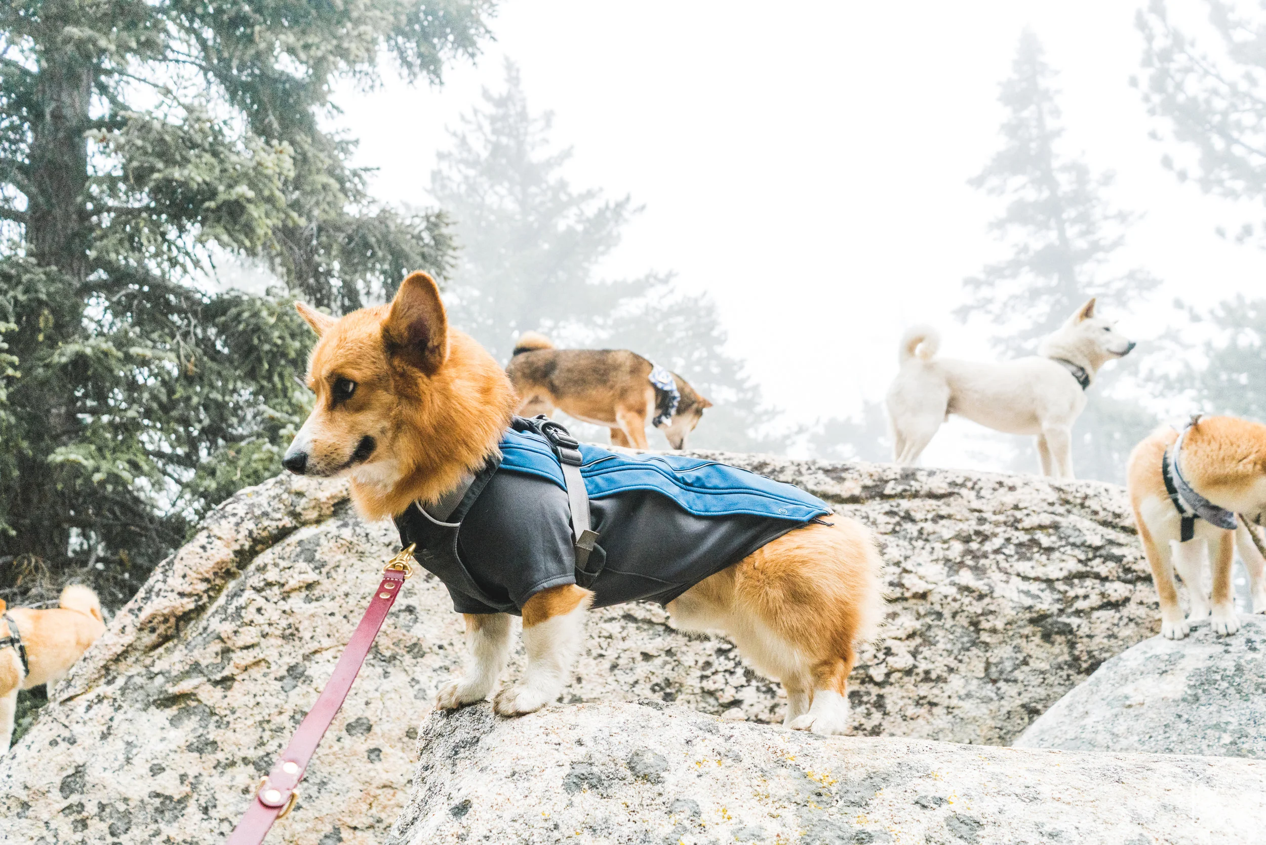 Cooper just wanted this to be over with.