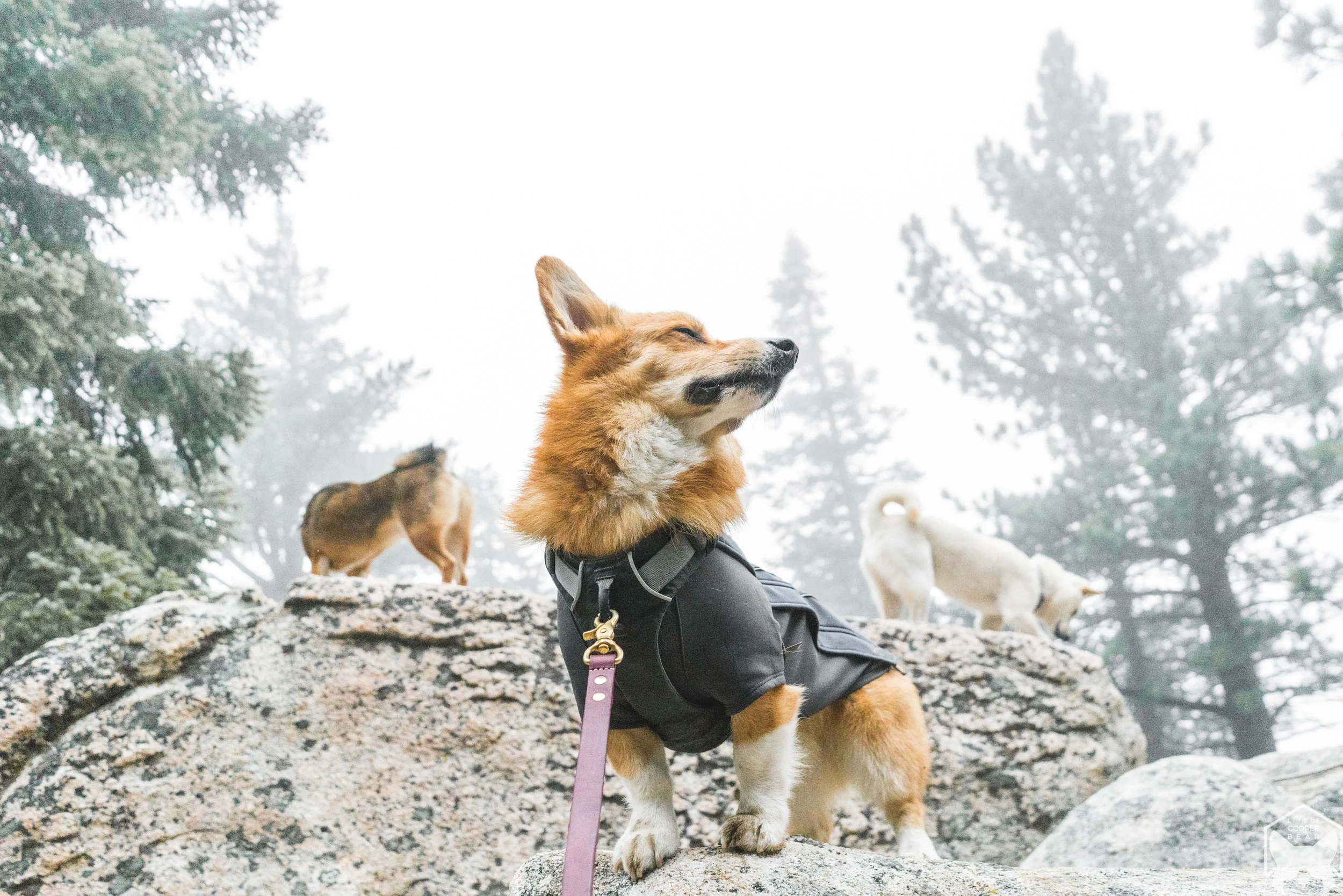 Smelling that fresh air.