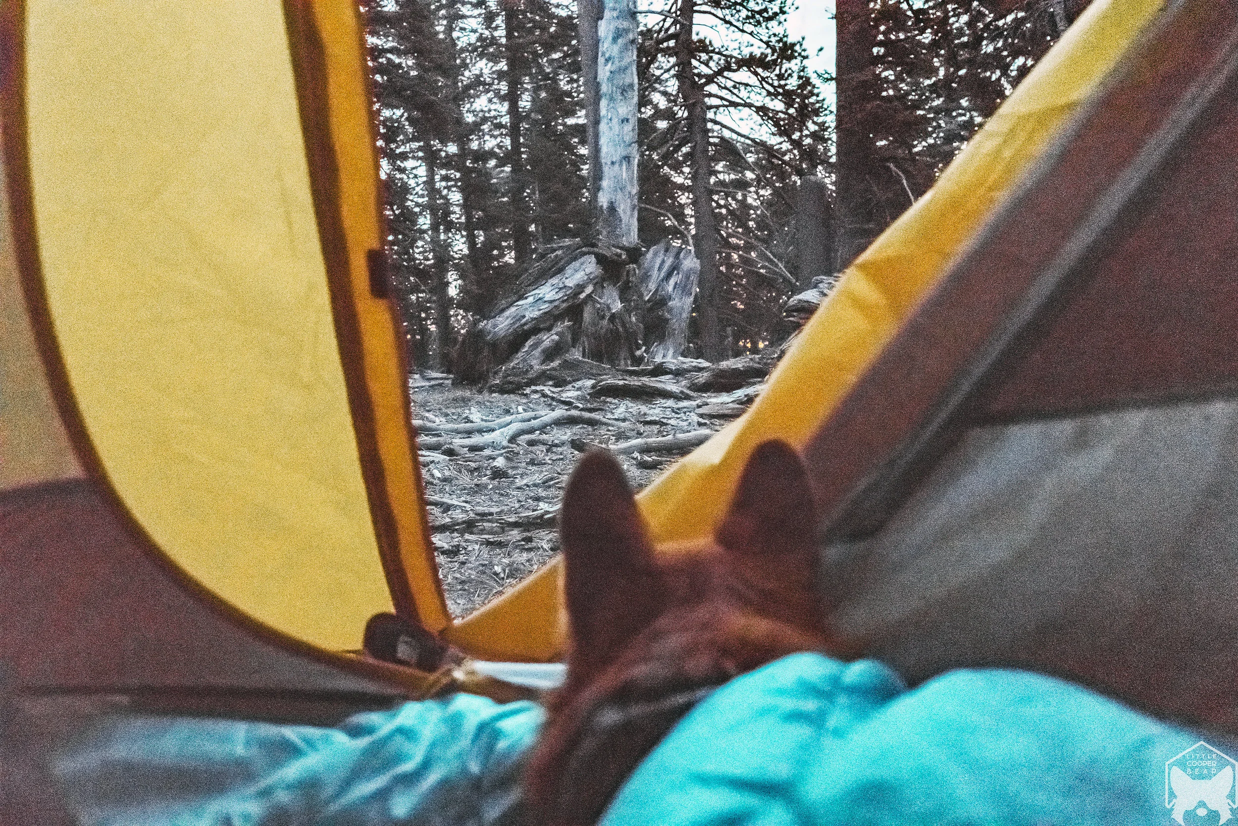 Woke up with a nice sunrise.