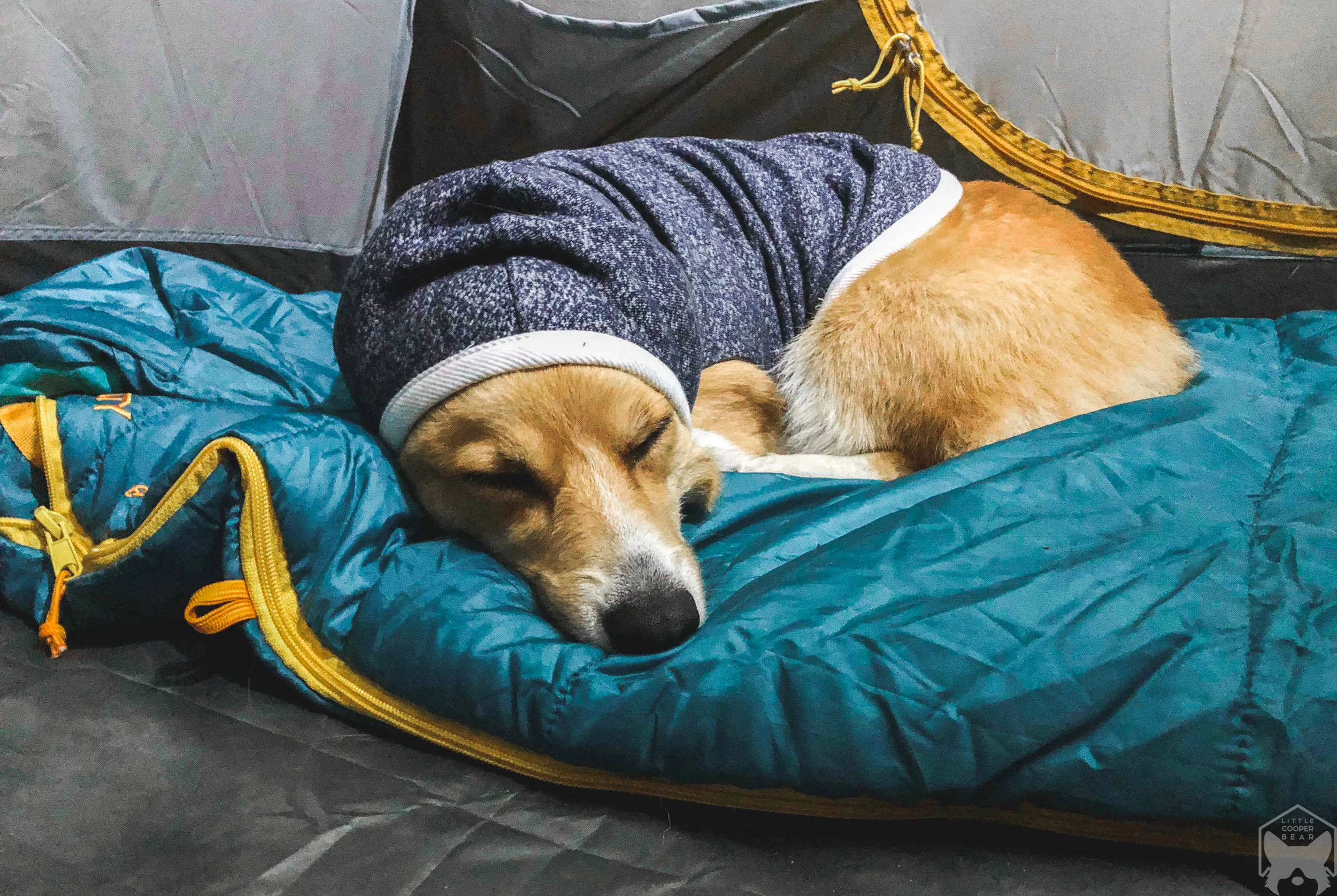 Bundled up for the night.