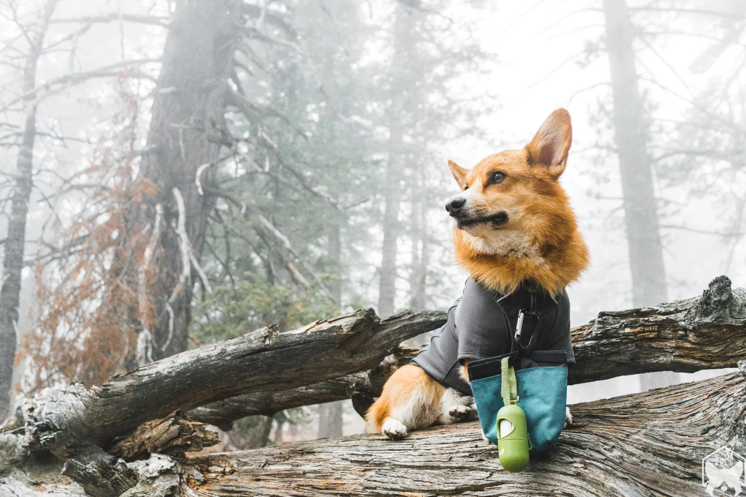 All he really do is eat and poop.