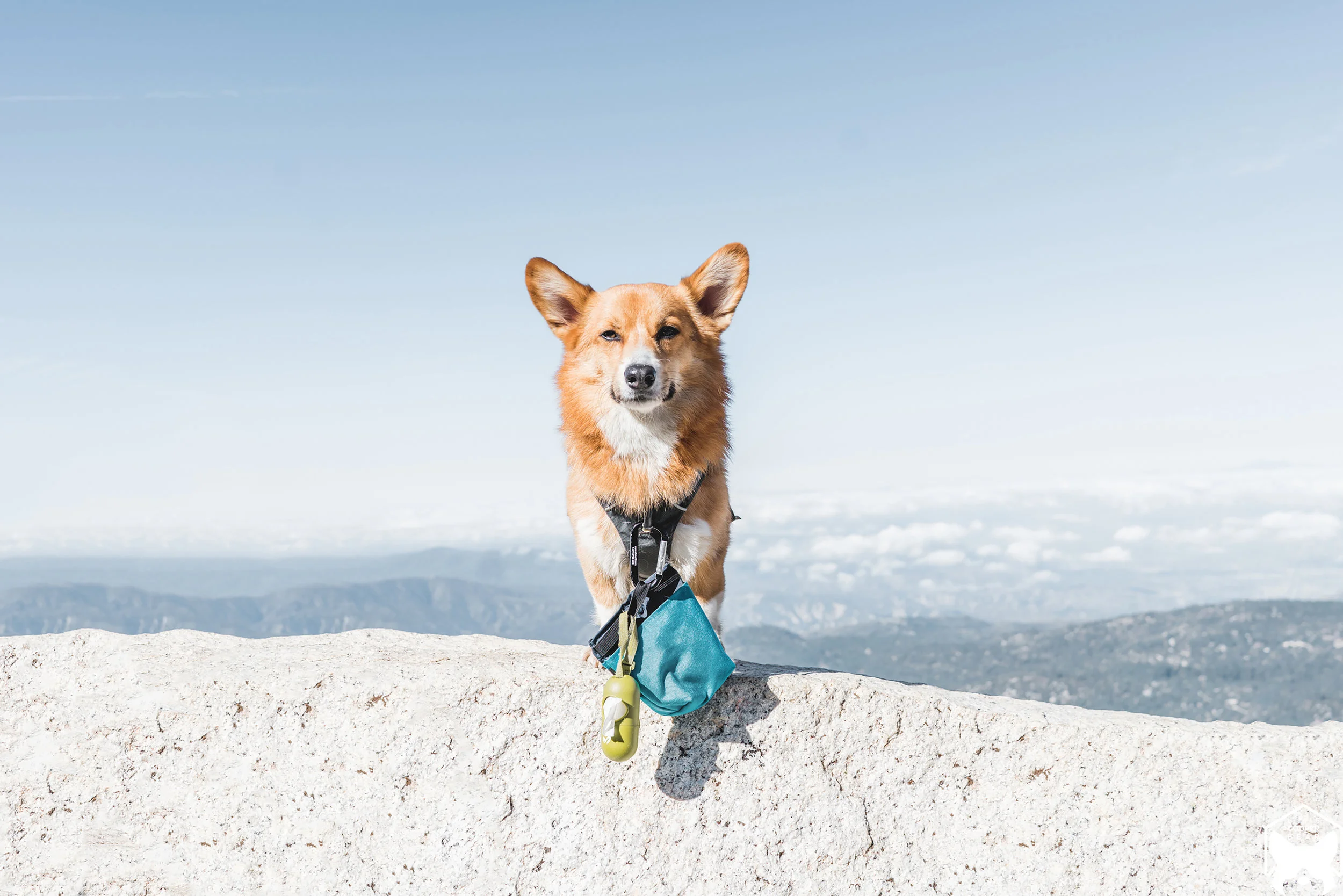 Cooper was obviously very impressed by the view.