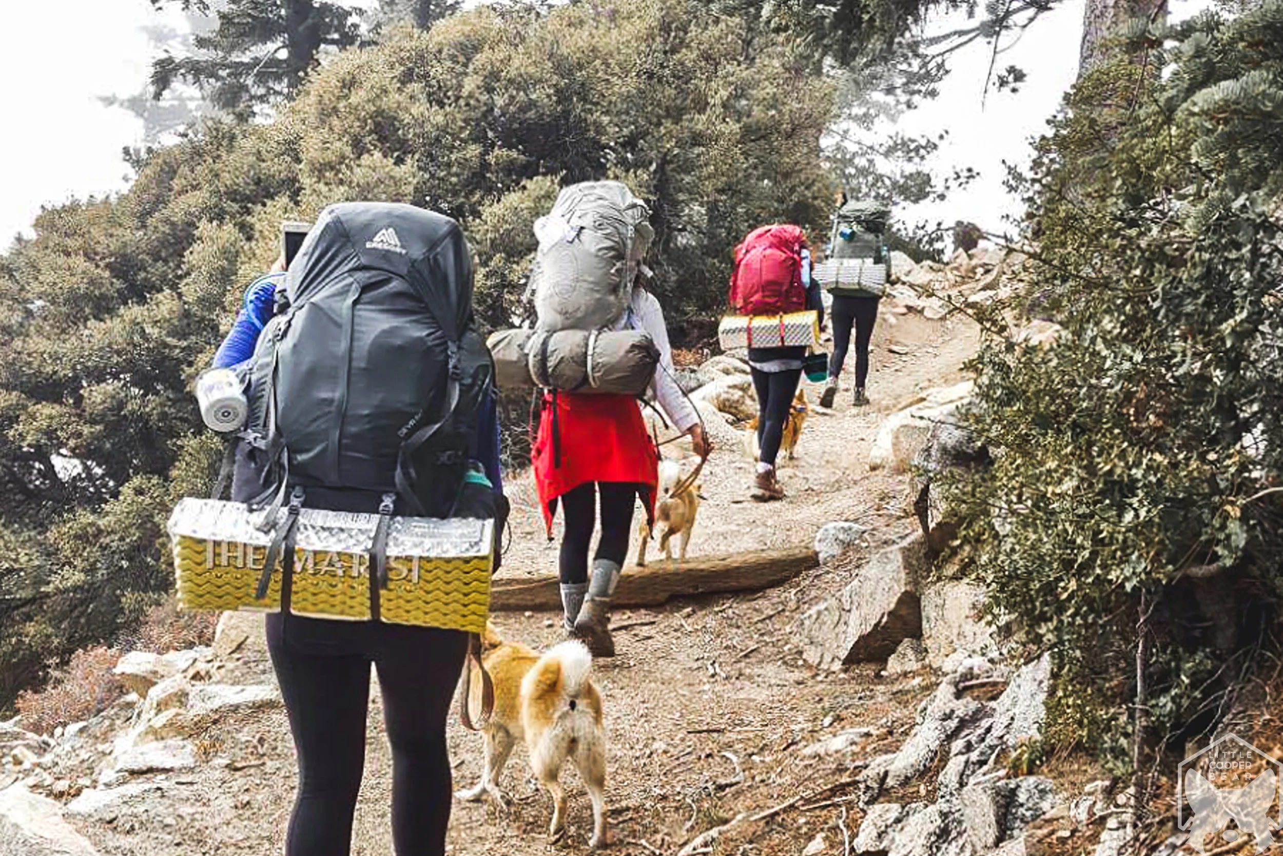 The ascent continued.