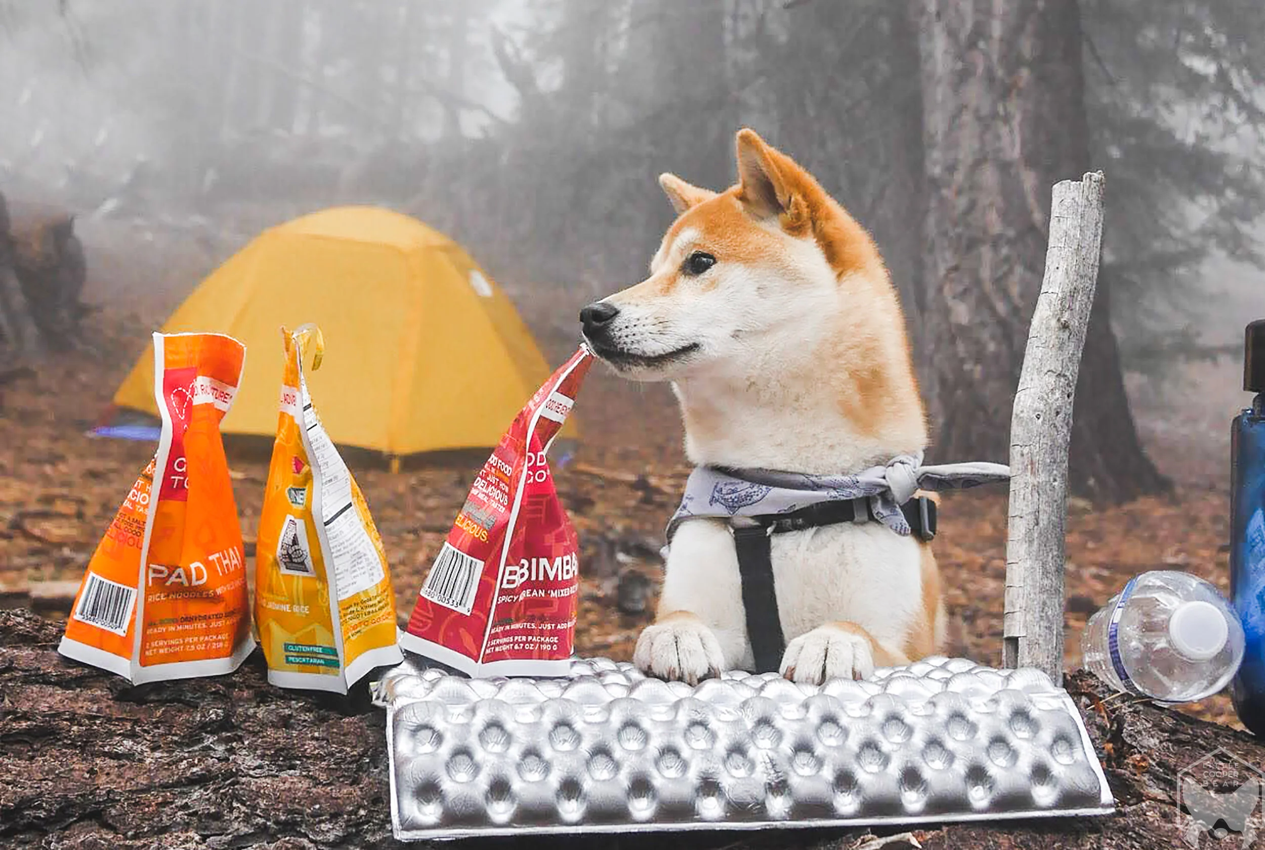 Uni's kitchen was opened for business!