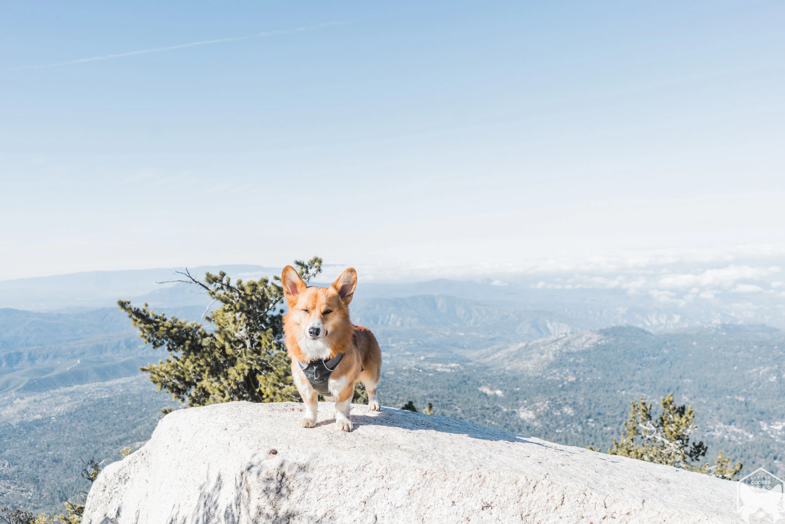 Travelog VIII || Tahquitz Peak Backpacking