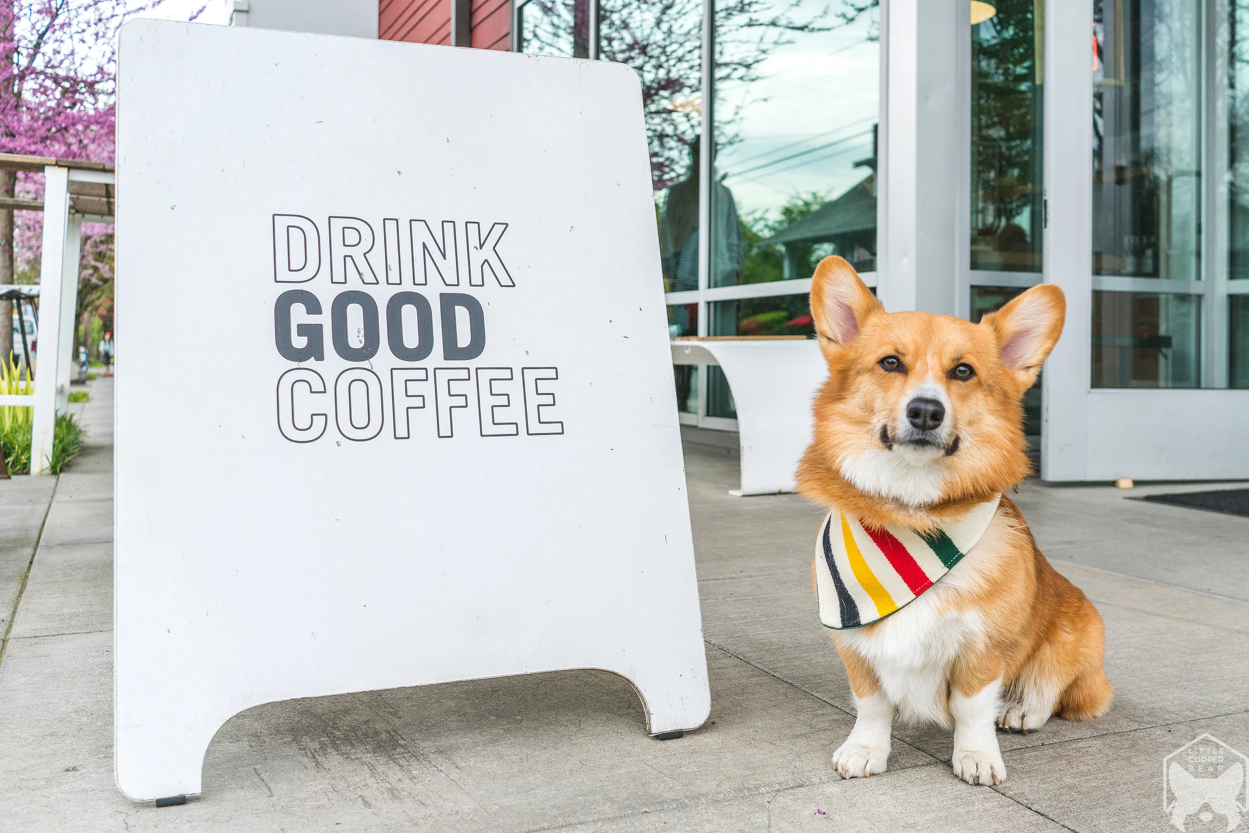Good Coffee Company