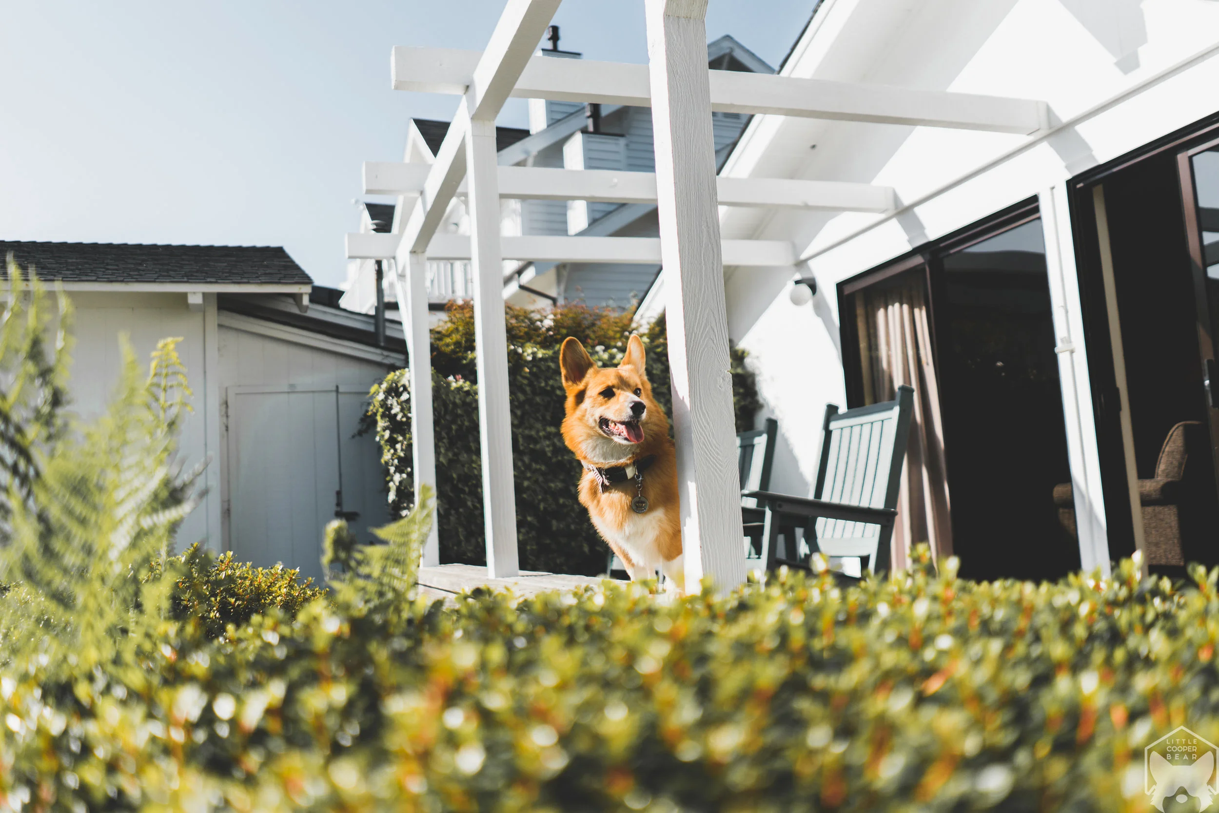 20180615-DSC00784.jpg