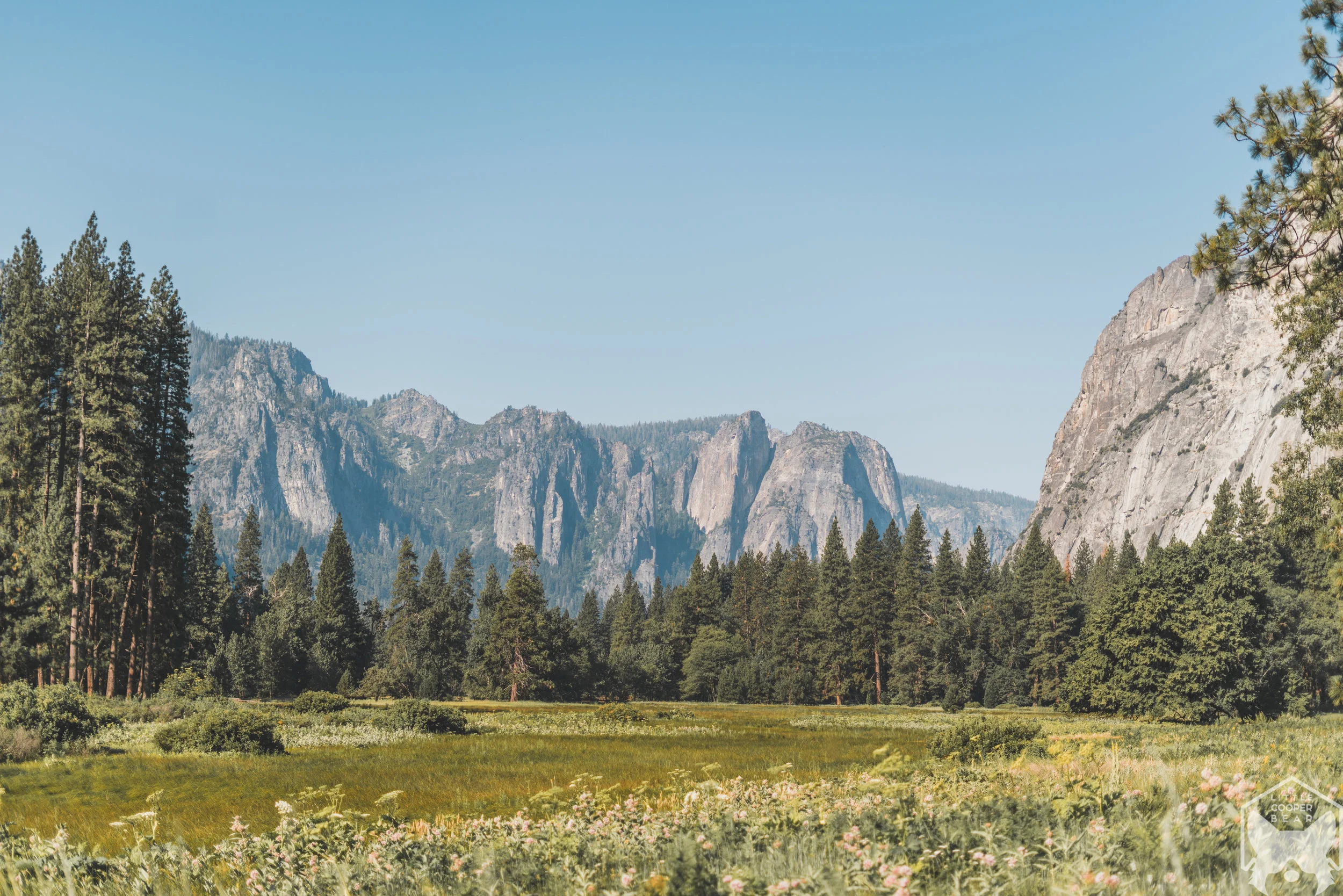Cook's Meadow