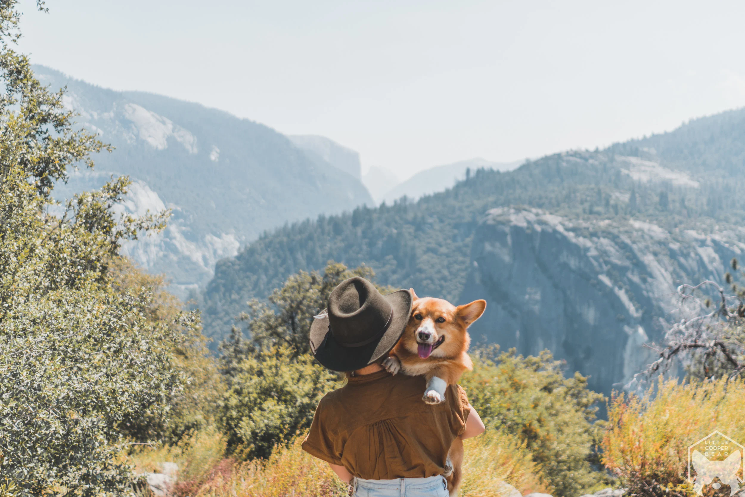 Tunnel View